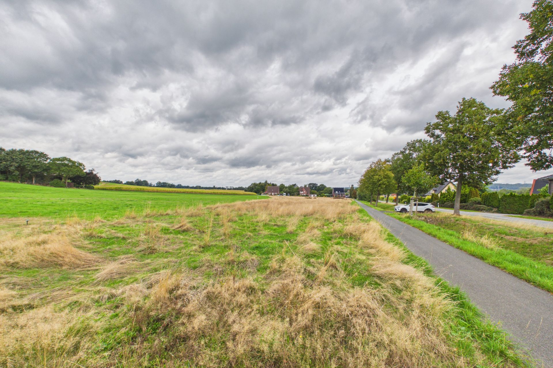 Grünes Feld mit trockenem Gras neben einer Straße, am Rand Wohnhäuser und Bäume, bewölkter Himmel.