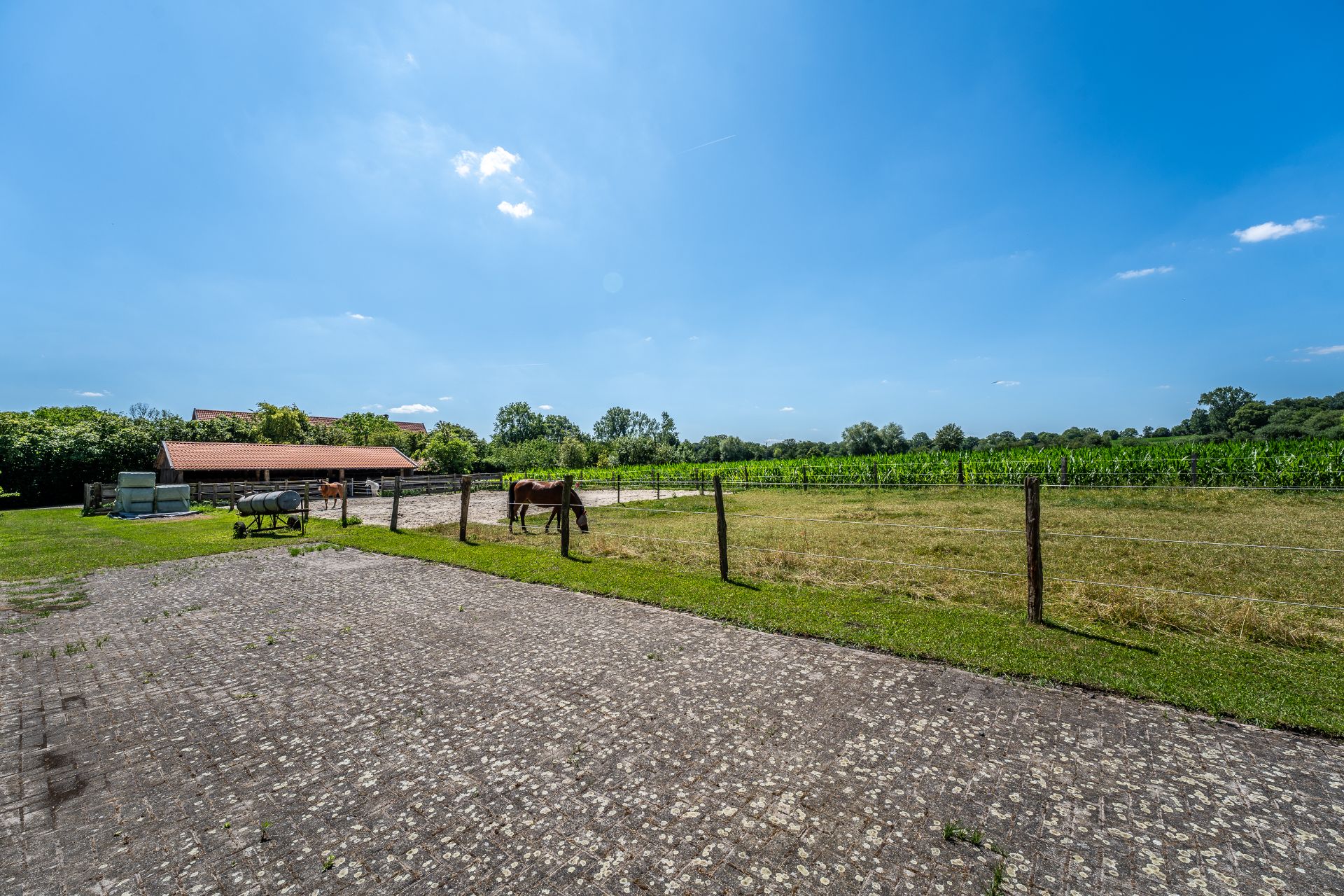 Pflasterweg mit eingezäuntem Weidebereich und Pferd, im Hintergrund ein Gebäude und Bäume.