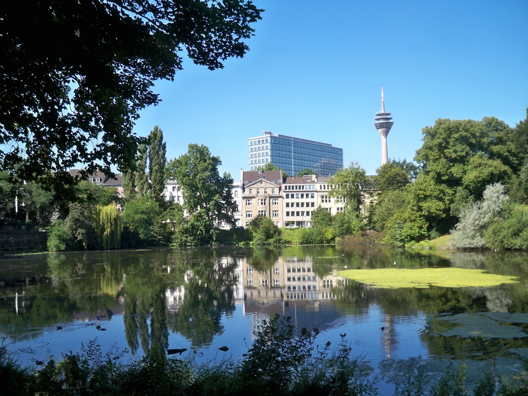 Stadtsilhouette mit modernem Fernsehturm und ungewöhnlich geformten Gebäuden am Wasser.