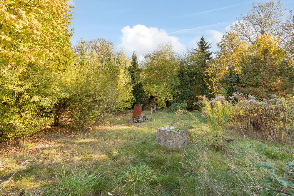 Bewachsener Garten mit Bäumen, Büschen und einer Feuerstelle aus Metall.
