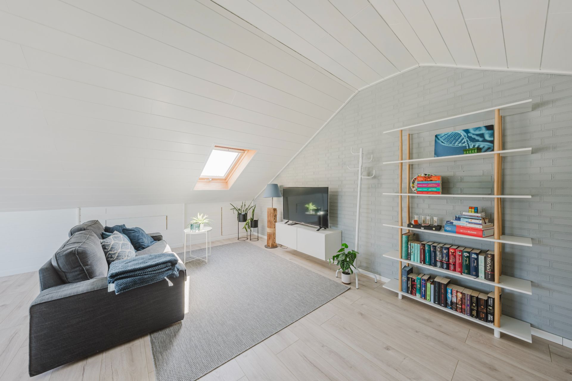 Helles Wohnzimmer mit Sofa, Teppich, Fernseher, Bücherregal und Dachfenster.