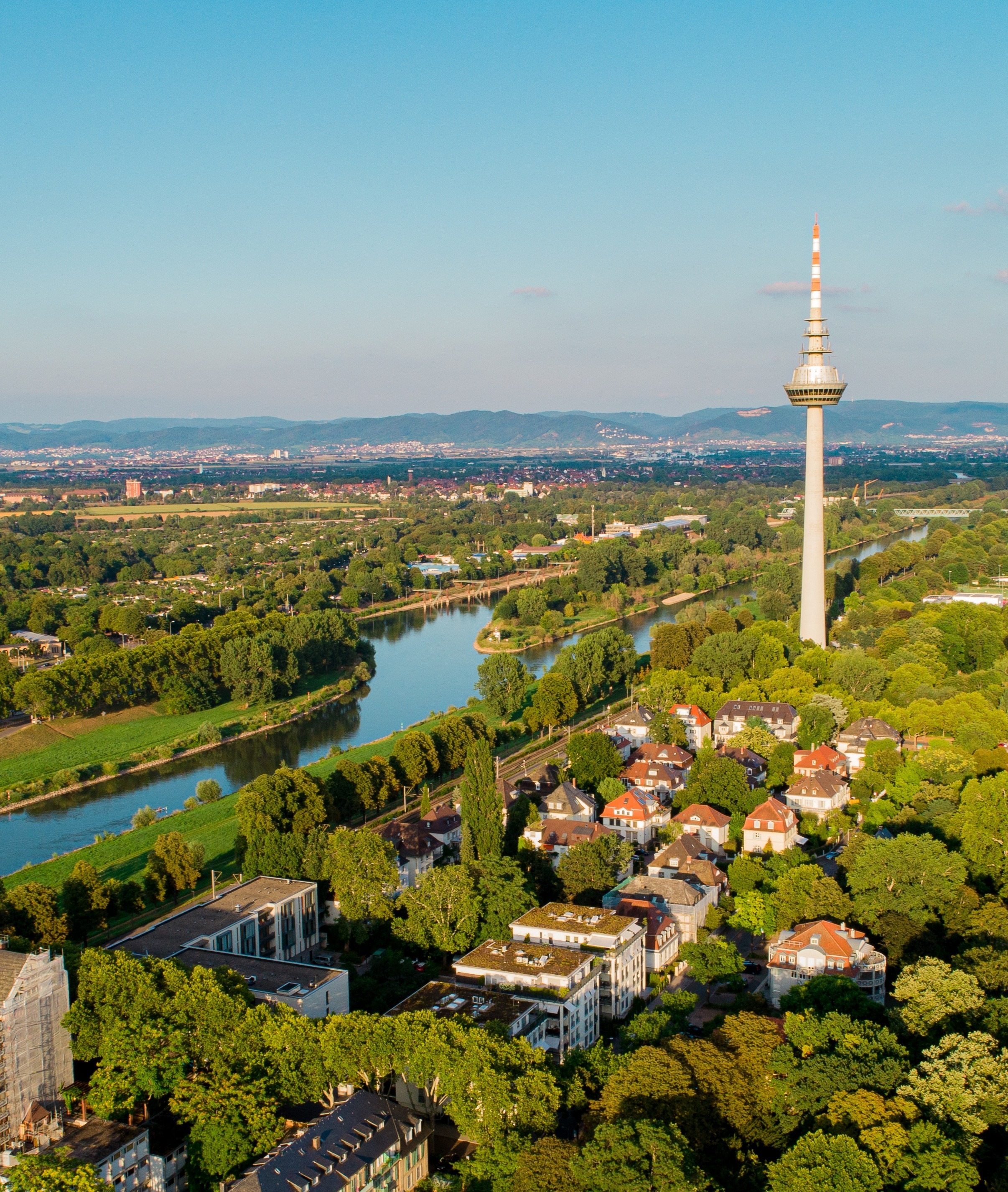 Luftaufnahme eines Wohngebiets mit Fluss, vielen Bäumen und einem hohen Fernsehturm.