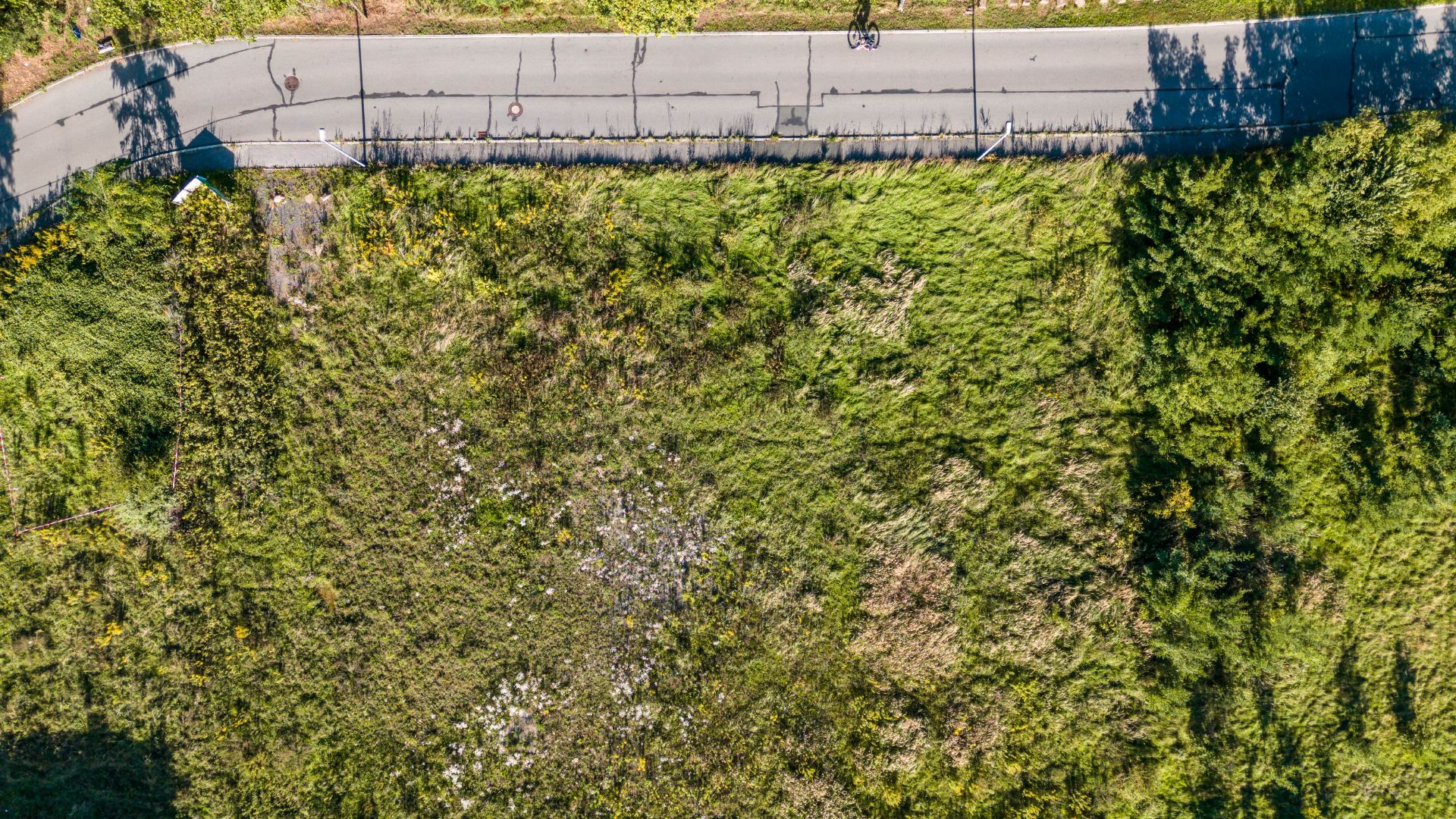 Luftaufnahme eines grünen, bewachsenen Grundstücks mit angrenzender Straße oben im Bild.