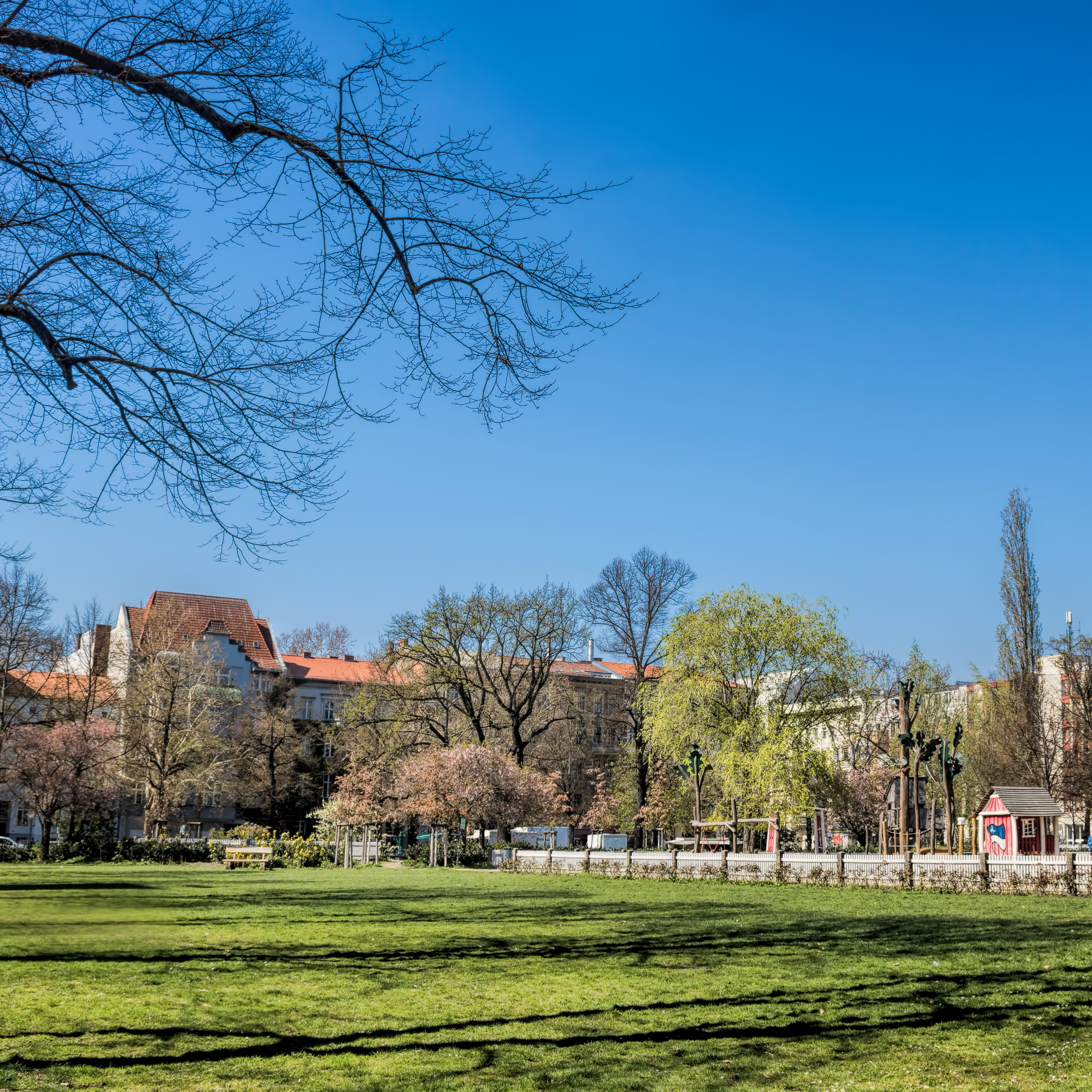 Blick auf eine Wohnanlage mit Bäumen und einer großen grünen Wiese im Vordergrund.