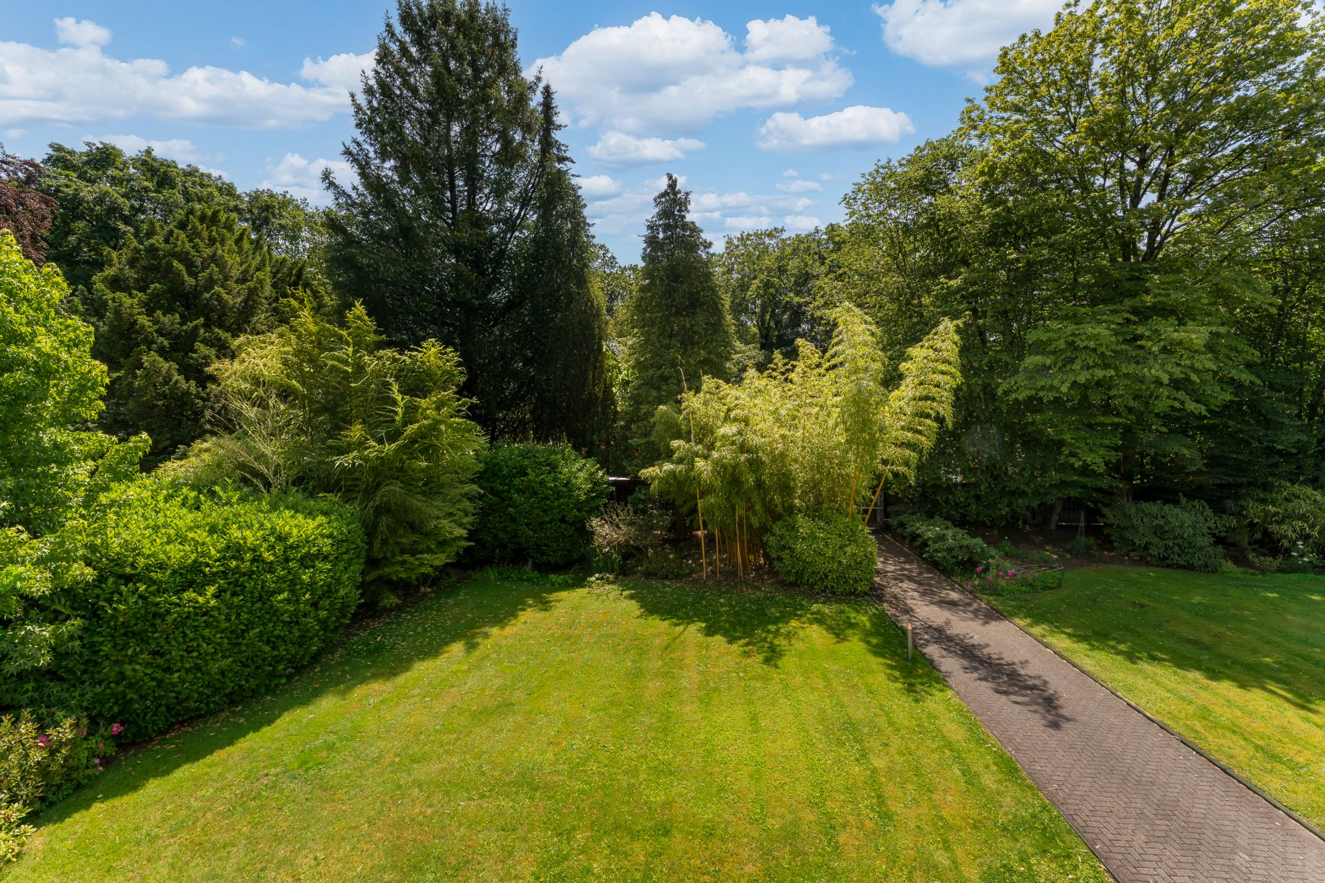 Grüner Garten mit Rasenfläche, Gehweg und vielen Bäumen im Hintergrund.