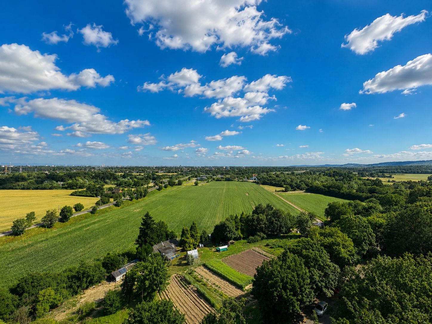Blick auf grüne Felder, Bäume und kleine Gärten unter blauem Himmel mit Wolken.