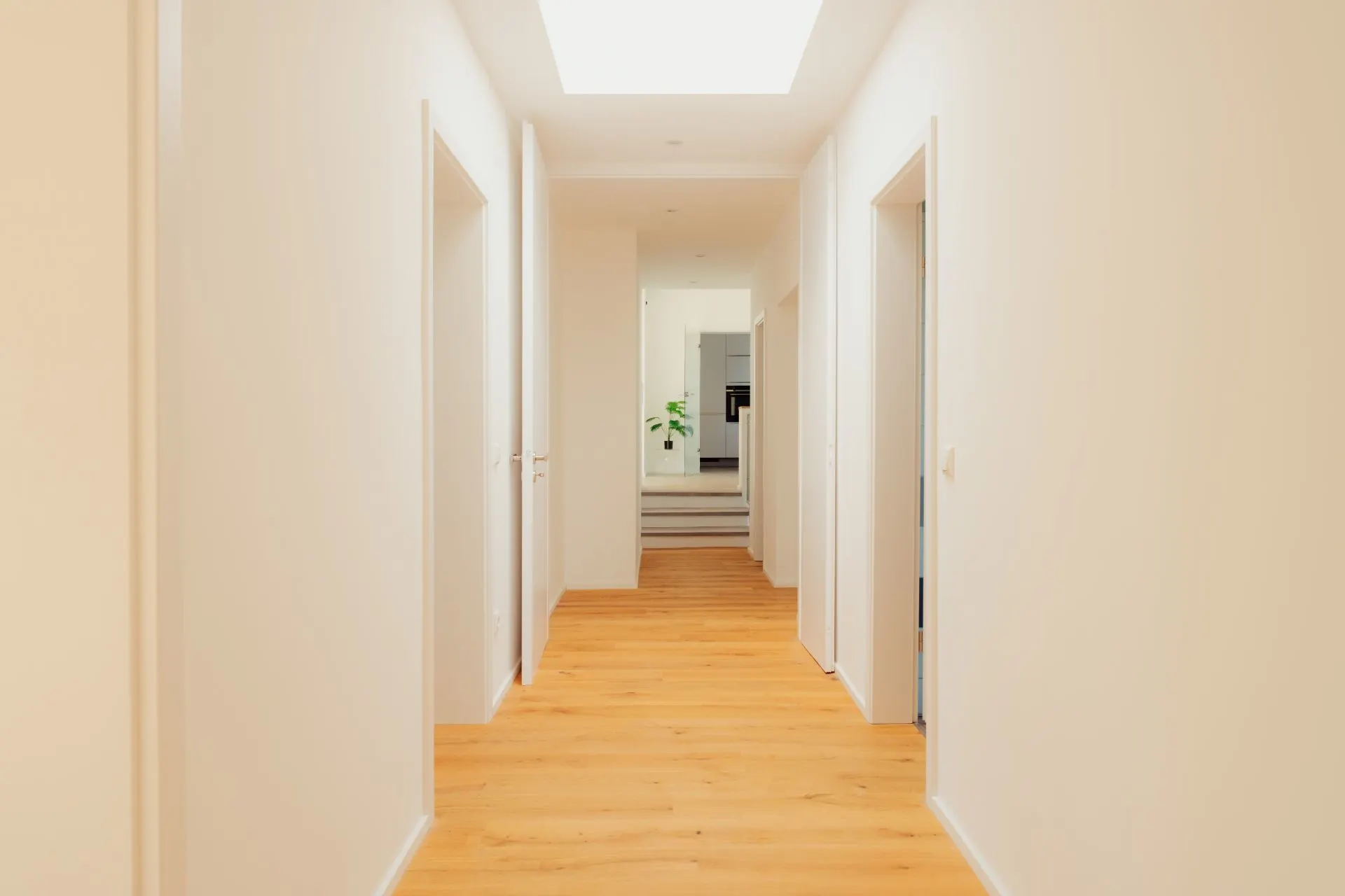 Heller Flur mit Holzboden, mehrere Türen und eine Pflanze im Hintergrund.