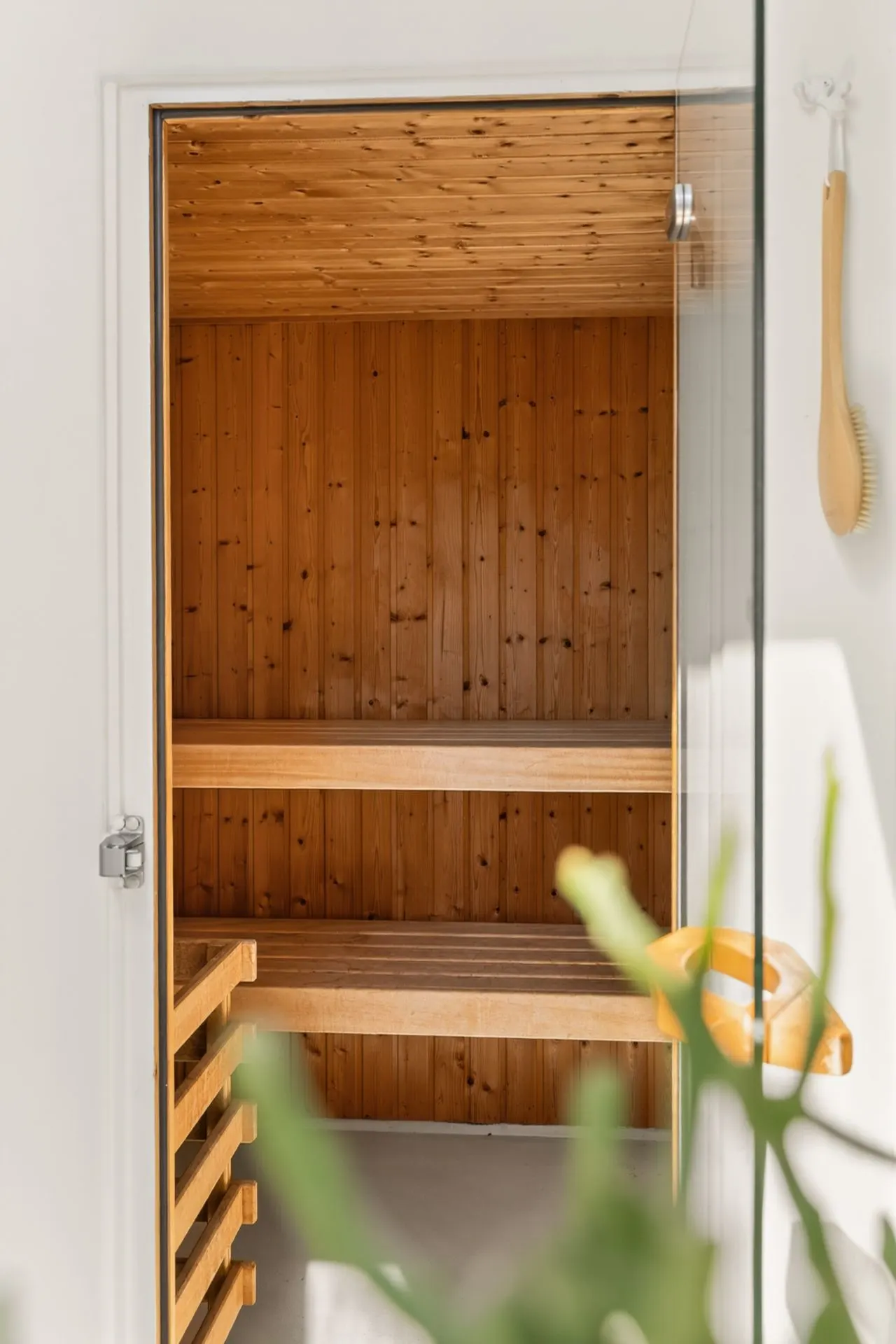 Holzverkleidete Sauna mit zwei Sitzbänken und Glastür, im Vordergrund eine Pflanze.