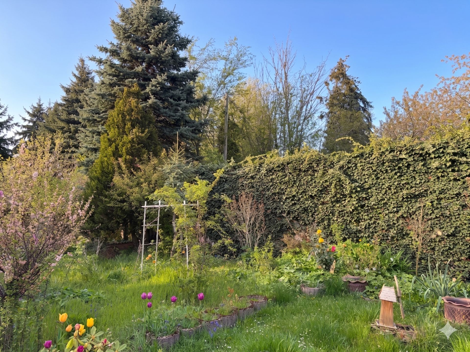 Grüner Garten mit Blumen, Büschen, Bäumen und einer dichten Hecke im Hintergrund.