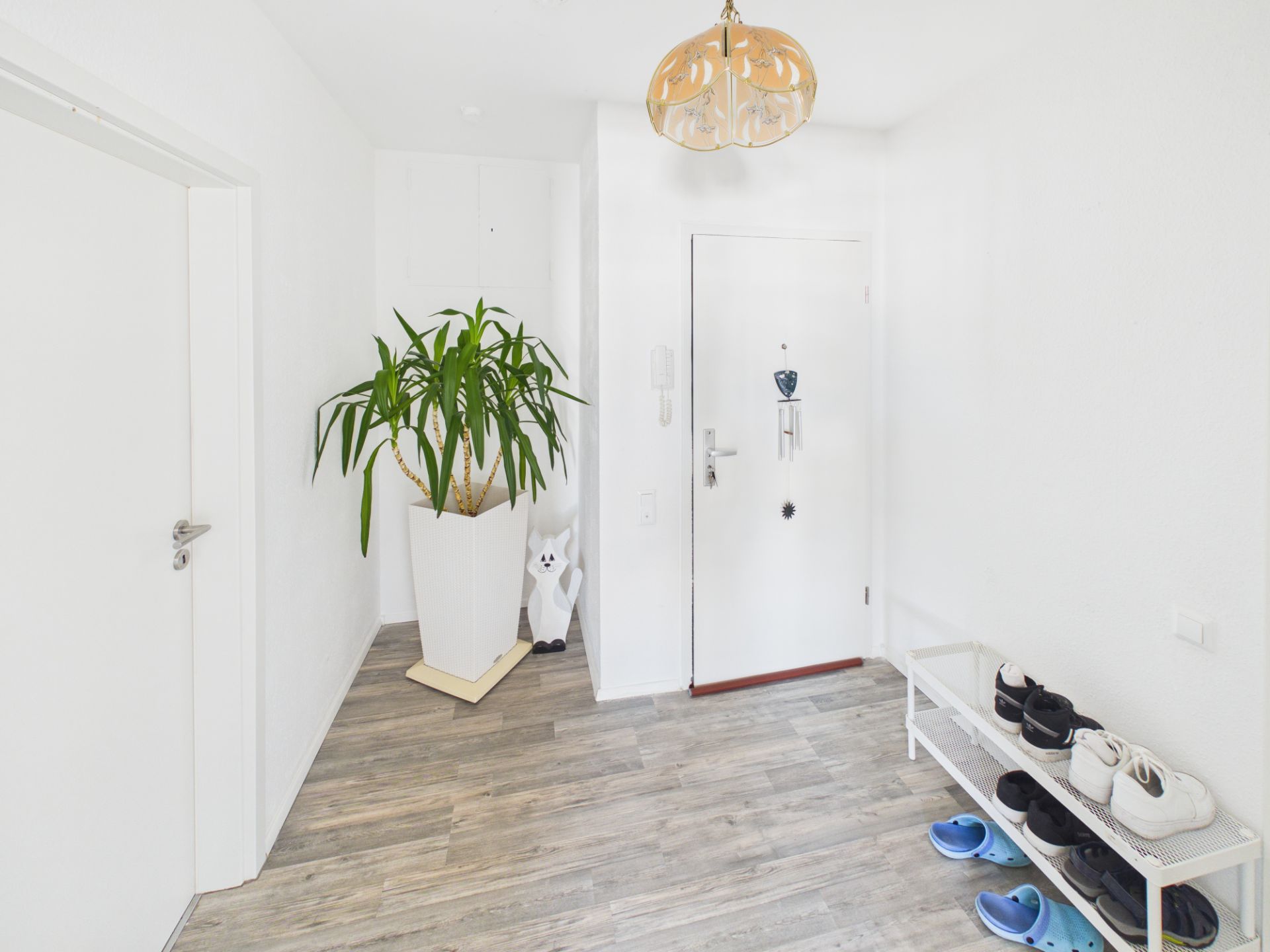 Heller Flur mit Eingangstür, großem Blumentopf, Schuhregal und Holzfußboden.