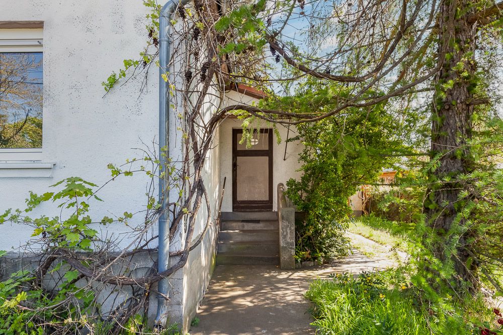 Hauseingang mit Treppe und Pflanzenbewuchs, daneben Fensterausschnitt.