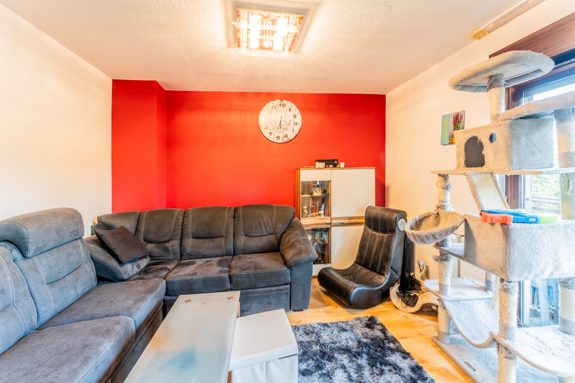 Wohnzimmer mit grauem Ecksofa, Kratzbaum, Teppich, Glastisch und roter Wand mit Uhr.