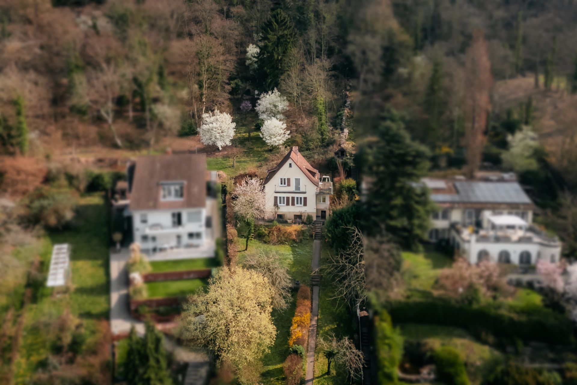 Luftaufnahme eines Einfamilienhauses mit Garten und umliegenden Bäumen.