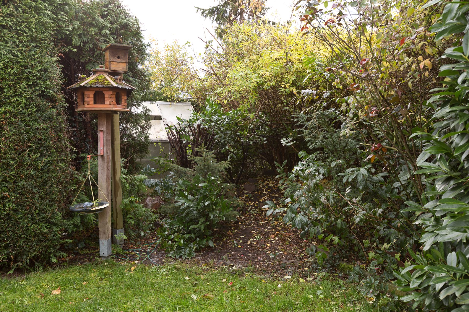 Grüner Garten mit Vogelhaus auf einem Holzpfahl und vielen Büschen.