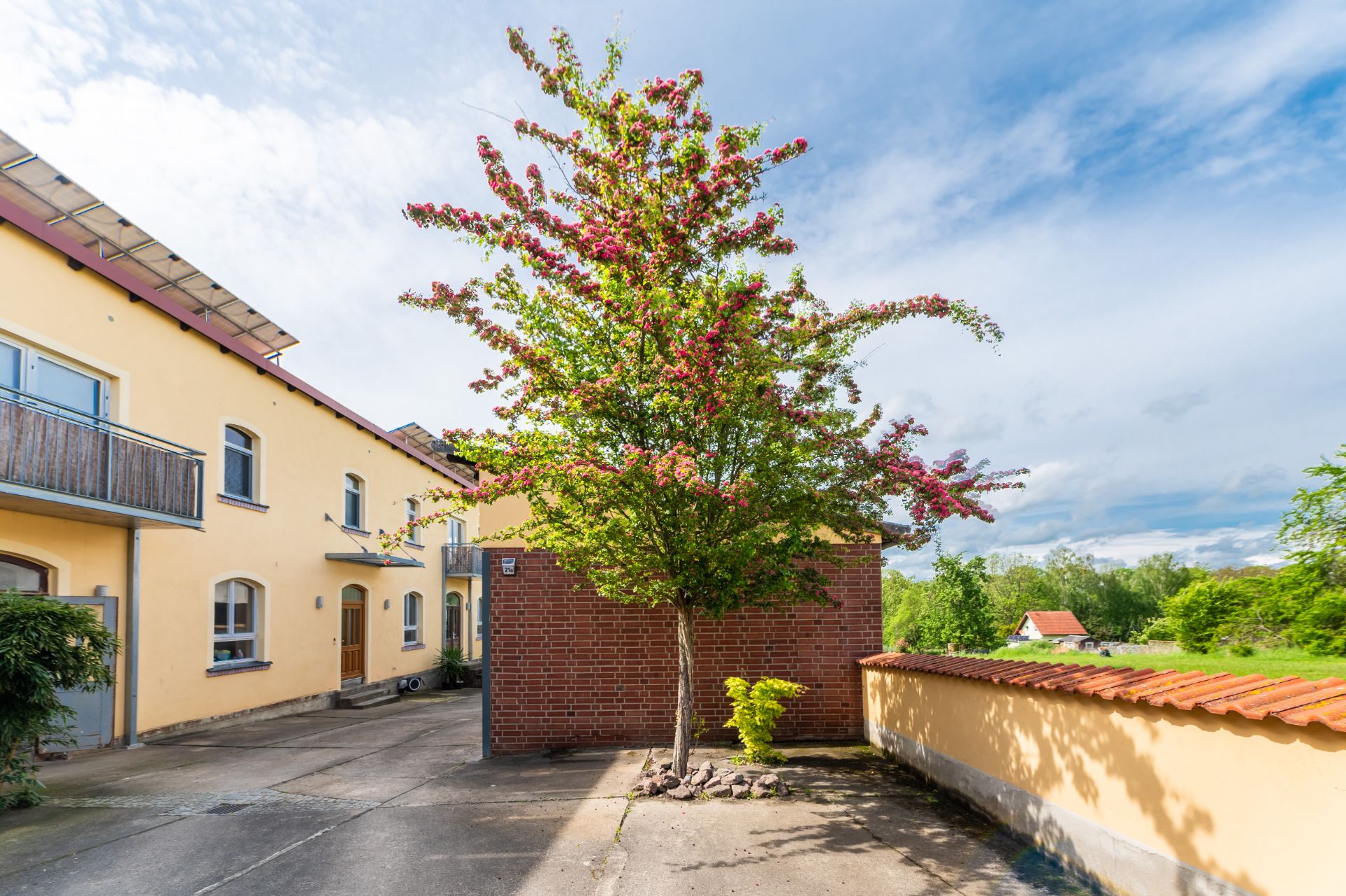 Innenhof mit blühendem Baum, gelbem Haus und roter Backsteinmauer bei Tageslicht.