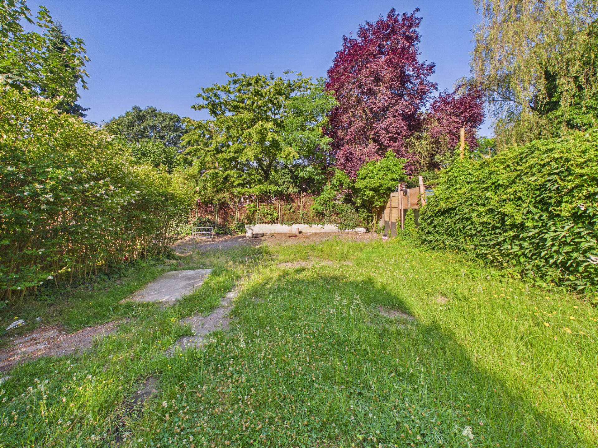 Grüner Garten mit Rasen, Büschen und verschiedenen Bäumen im Hintergrund.