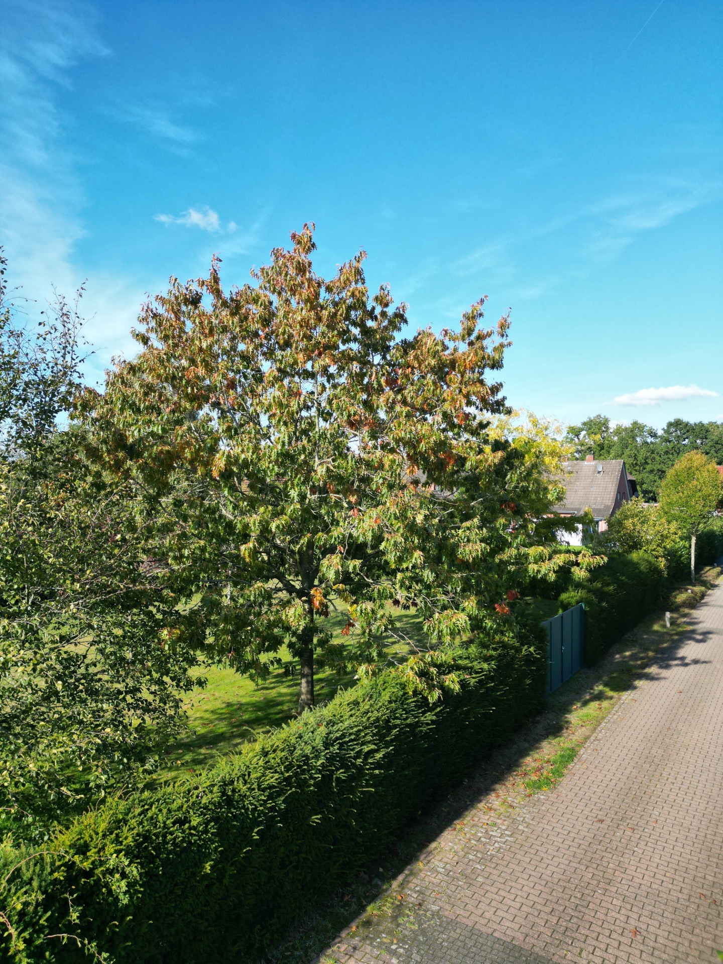 Umgebung