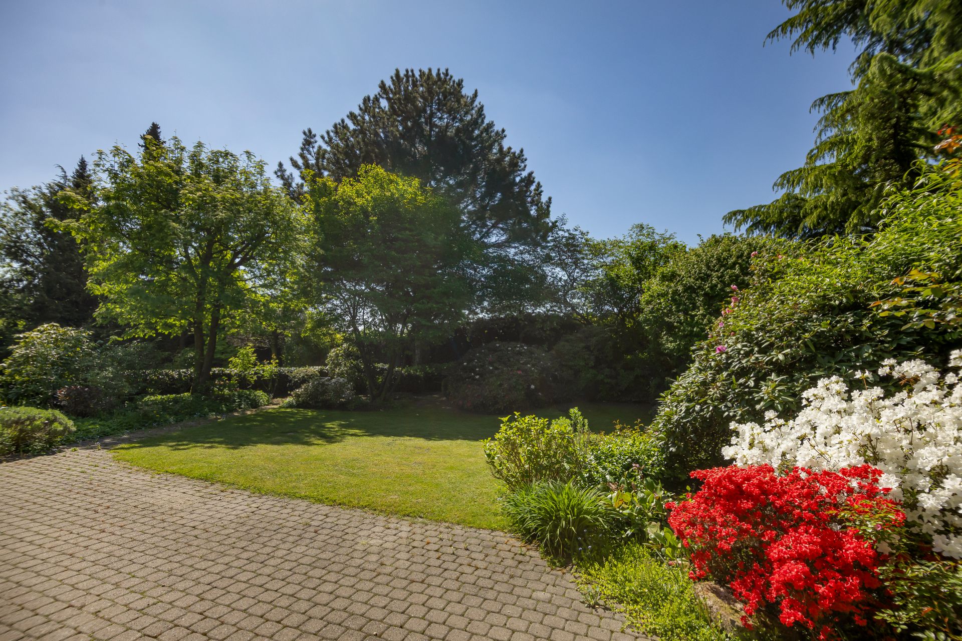Gepflegter Garten mit Rasenfläche, Bäumen und blühenden Sträuchern bei sonnigem Wetter.
