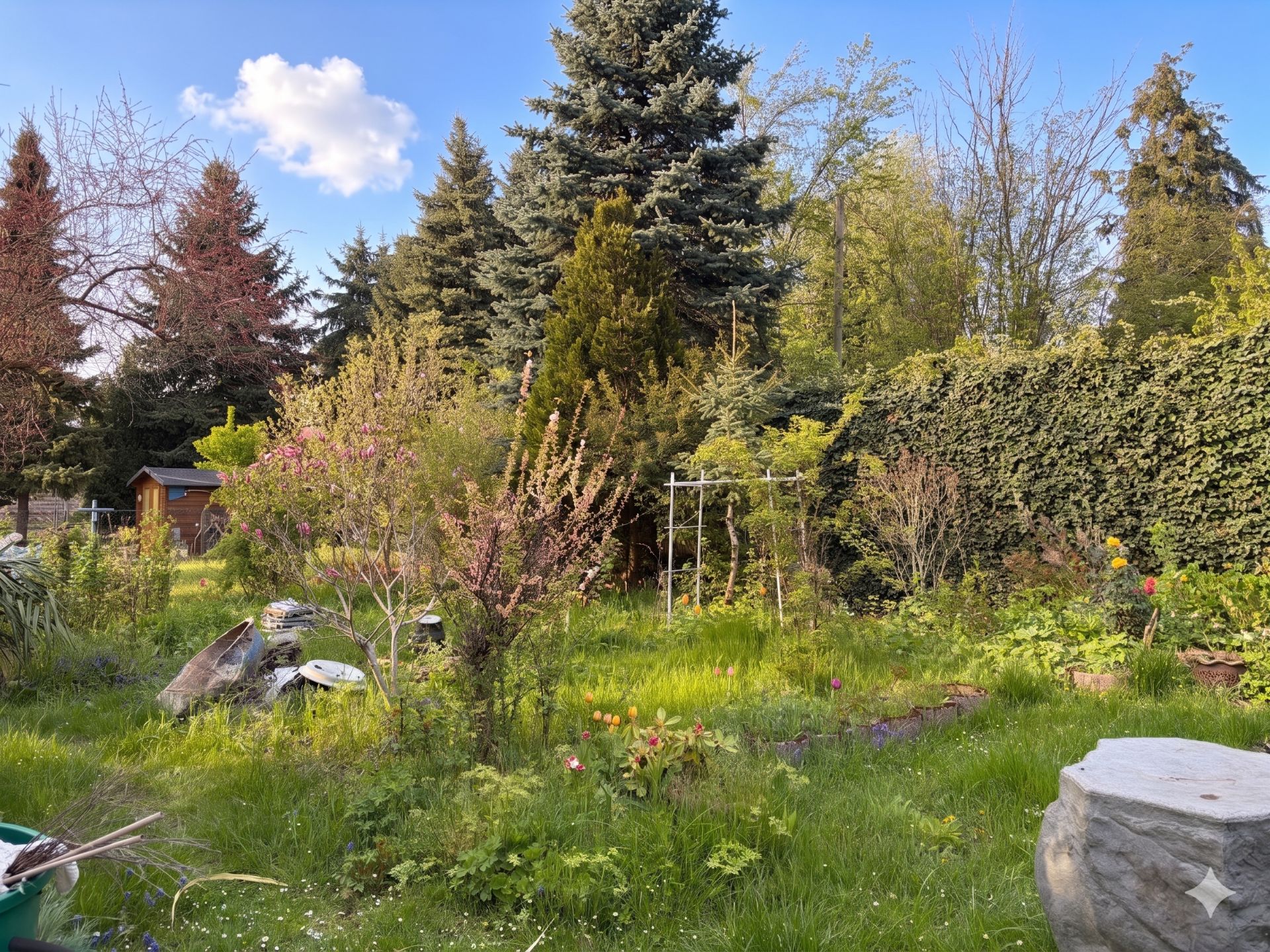 Garten mit Bäumen, Sträuchern, Rasen und Blumenbeeten, im Hintergrund eine kleine Holzhütte.