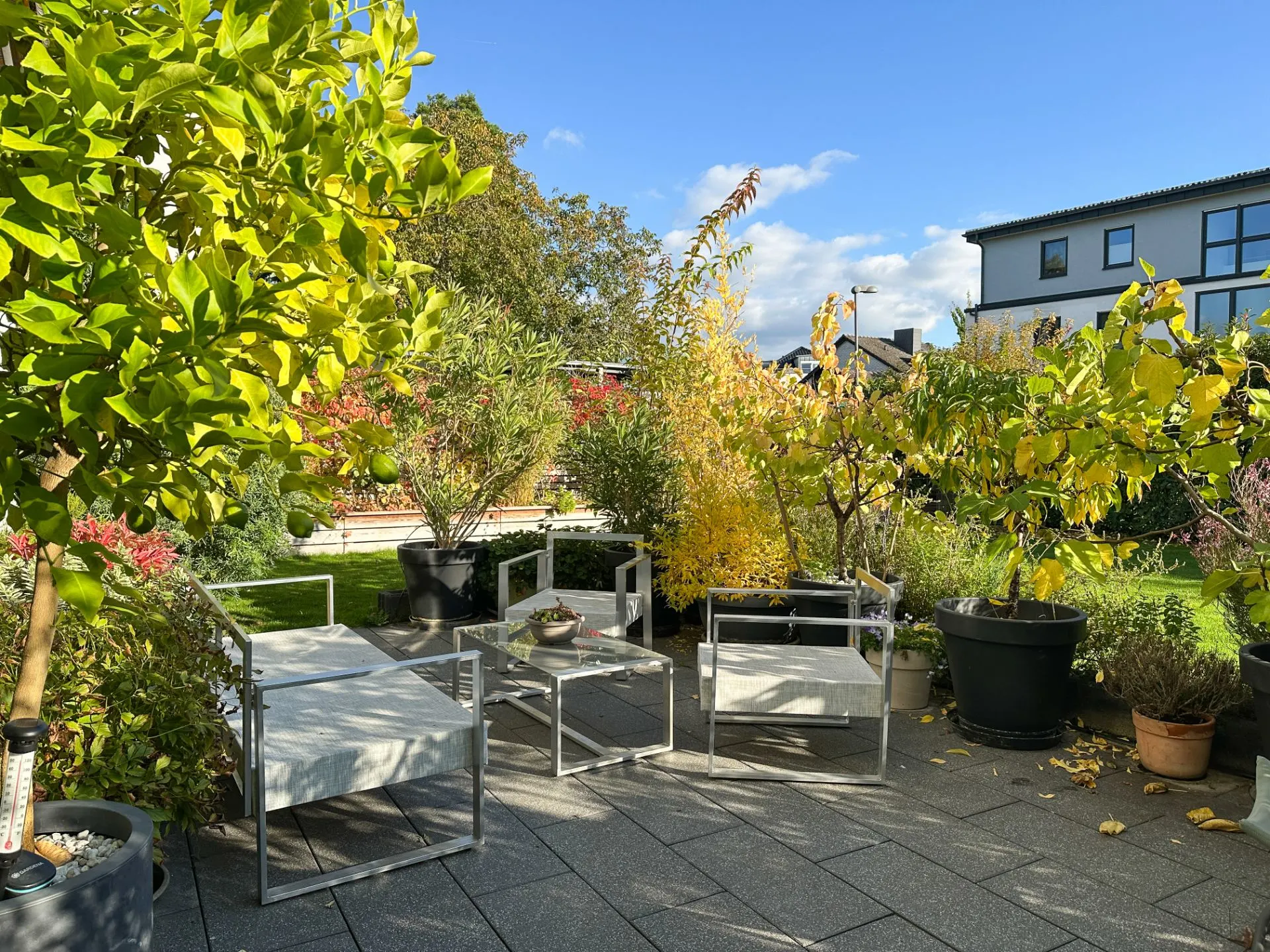 Moderne Terrasse mit weißen Stühlen, Glastisch und vielen Pflanzen im Garten.