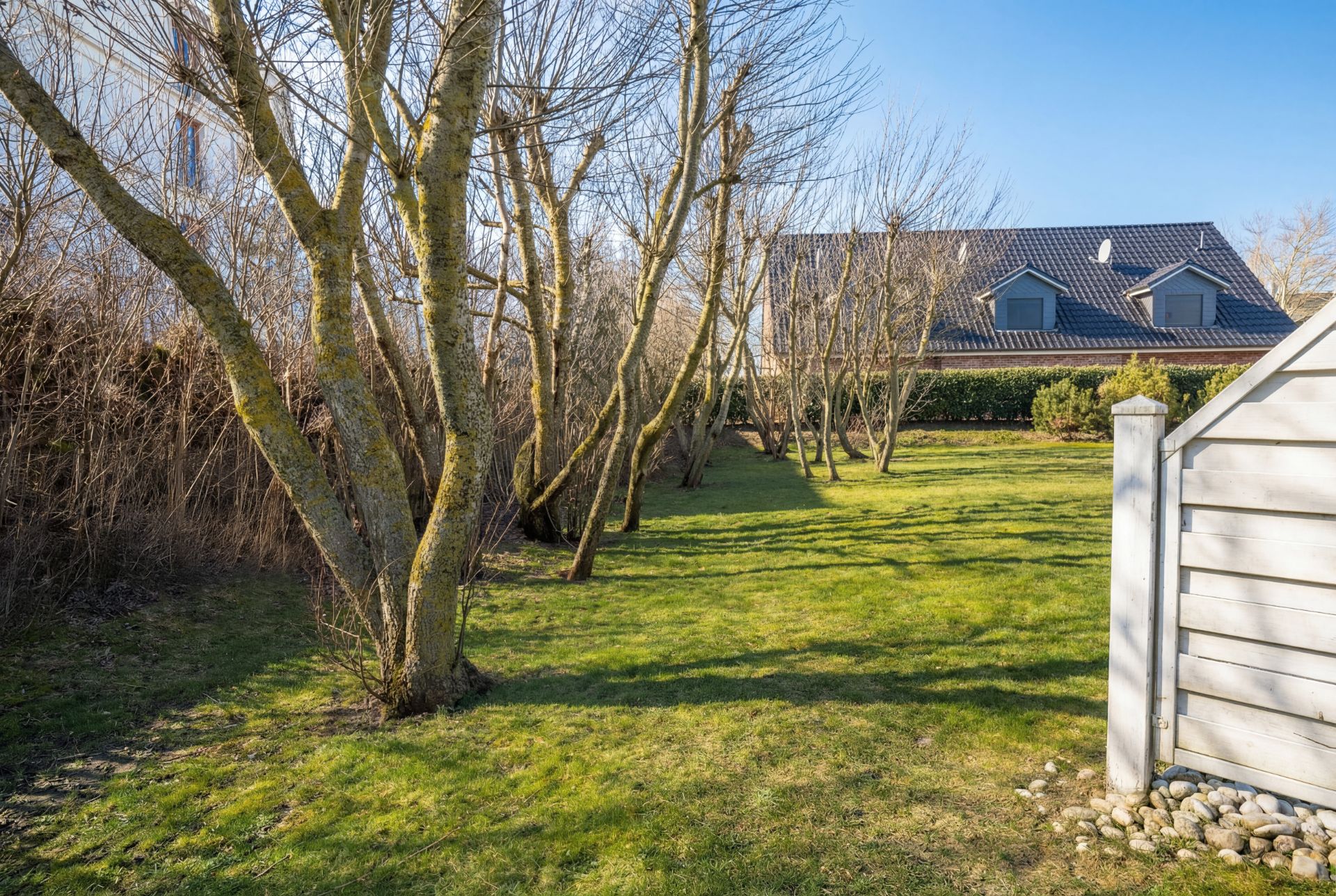 Garten mit mehreren Bäumen, Rasenfläche und Blick auf ein Wohnhaus im Hintergrund.