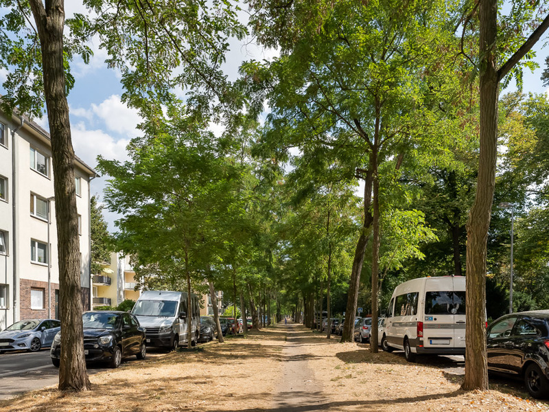 Baumgesäumter Gehweg mit parkenden Autos und Wohnhäusern auf der linken Seite.