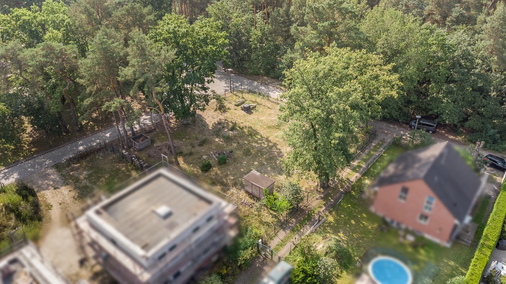 Luftaufnahme eines Gartens mit Bäumen, einem kleinen Schuppen und einem Swimmingpool.