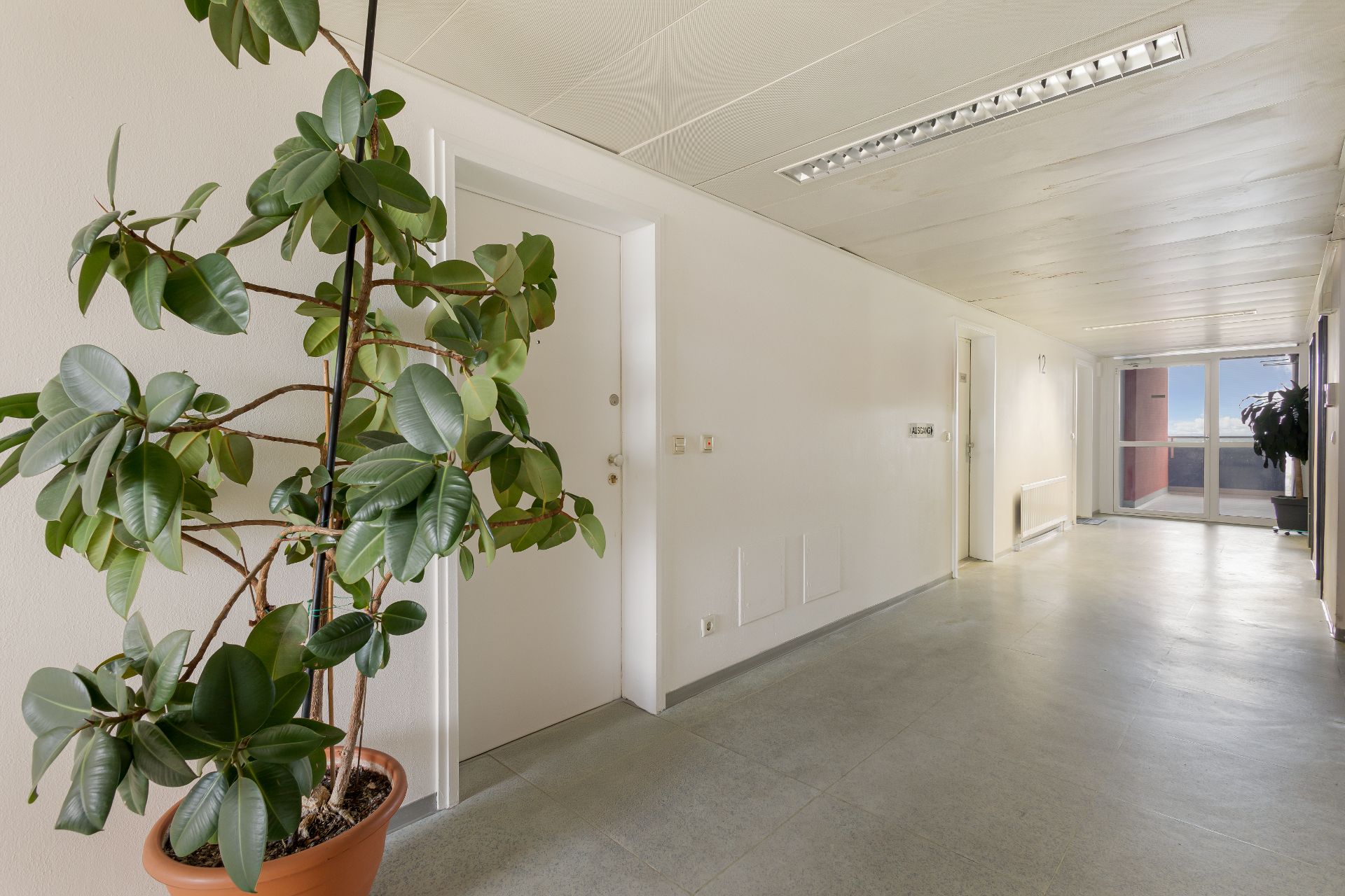Heller Flur mit Topfpflanzen, Türen und Fenster am Ende des Gangs.