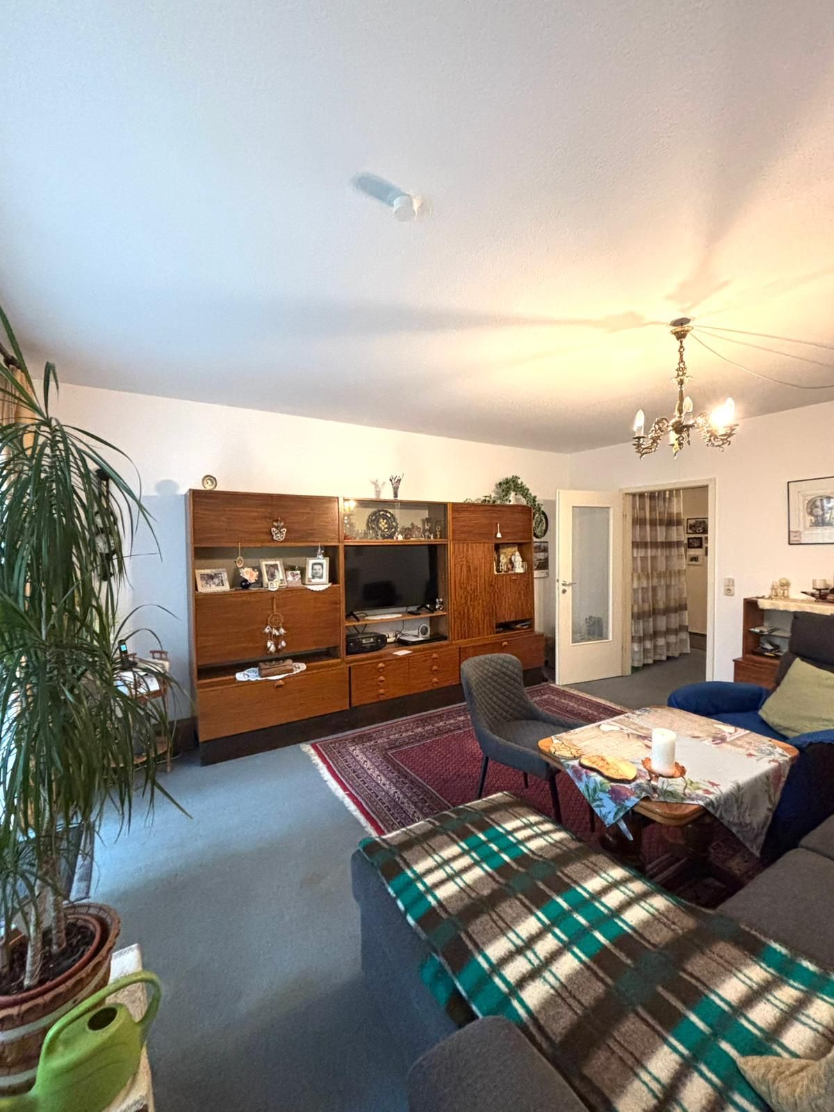 Wohnzimmer mit Sofa, Couchtisch, großem Teppich, Pflanze und Regalwand mit Fernseher.