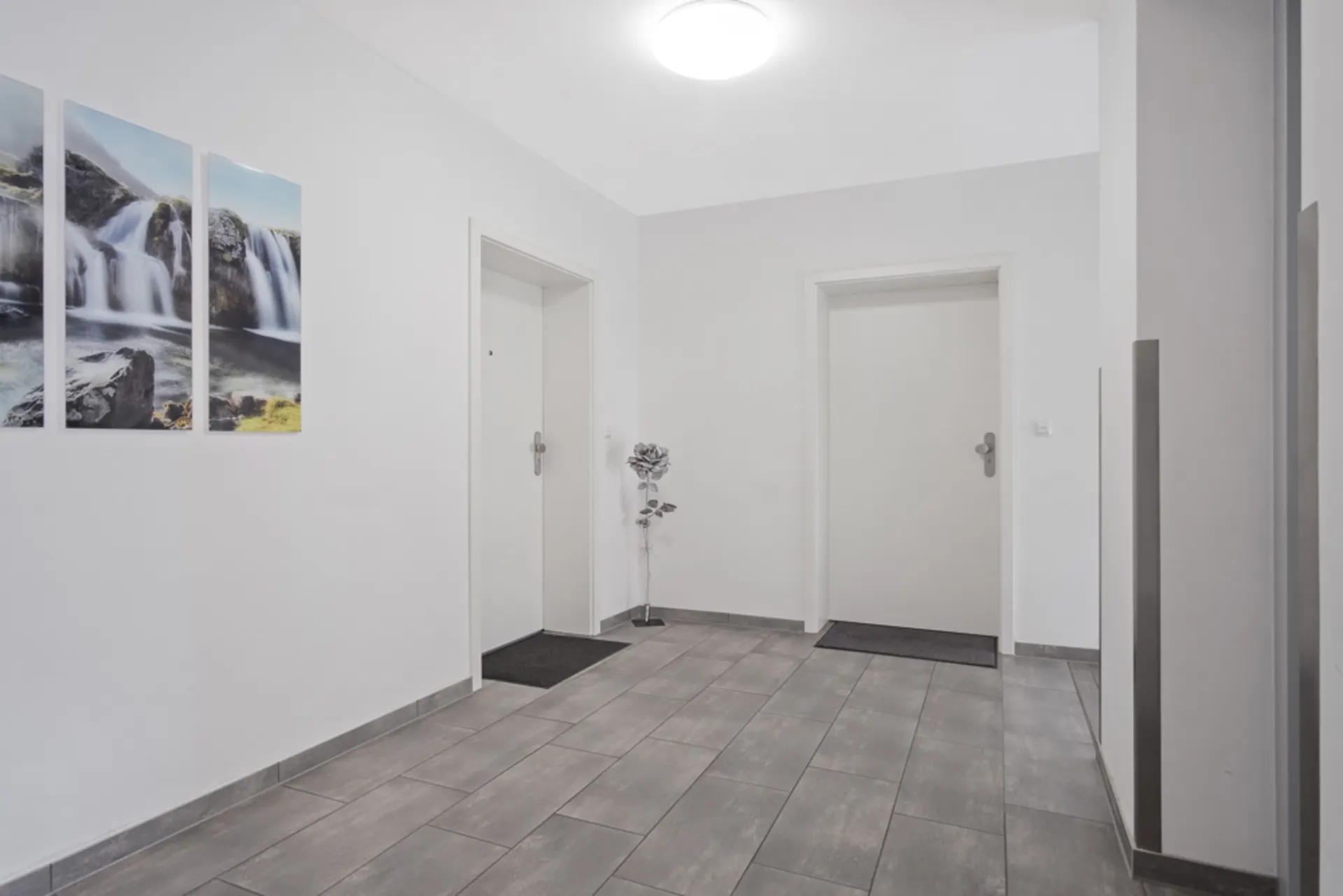 Heller Flur mit zwei weißen Türen, grauem Boden, Pflanze und Wasserfallbildern an der Wand.