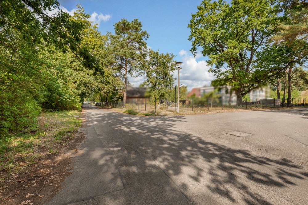 Asphaltstraße mit Bäumen und grünem Bewuchs an einer Kreuzung bei Tageslicht.