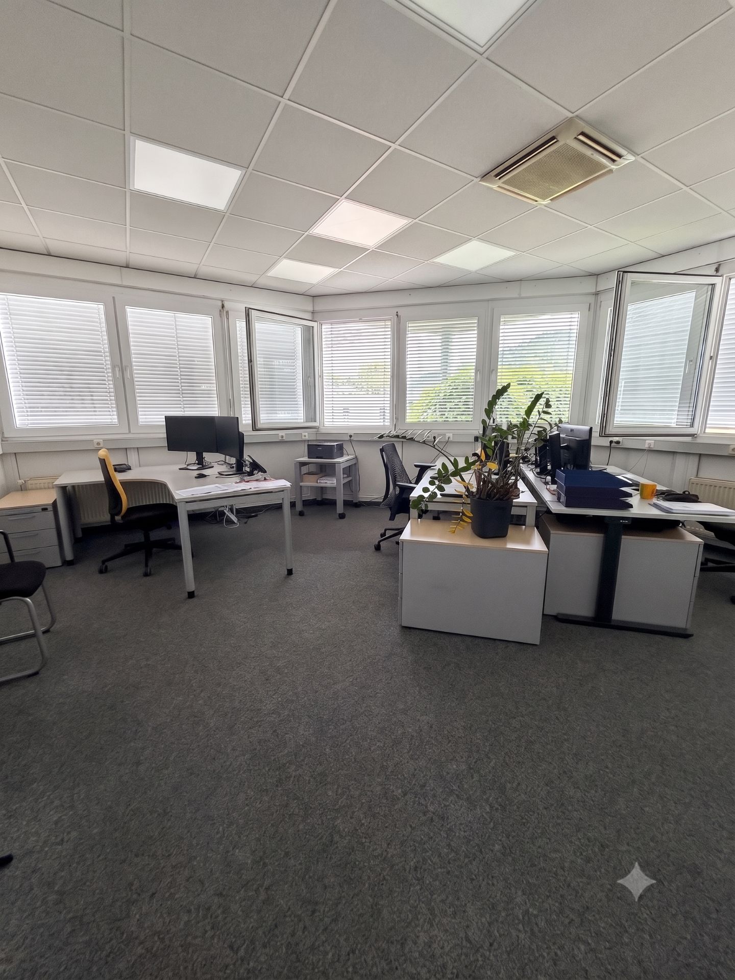Helles Büro mit mehreren Schreibtischen, Computern, Stühlen und großen Fenstern mit Jalousien.