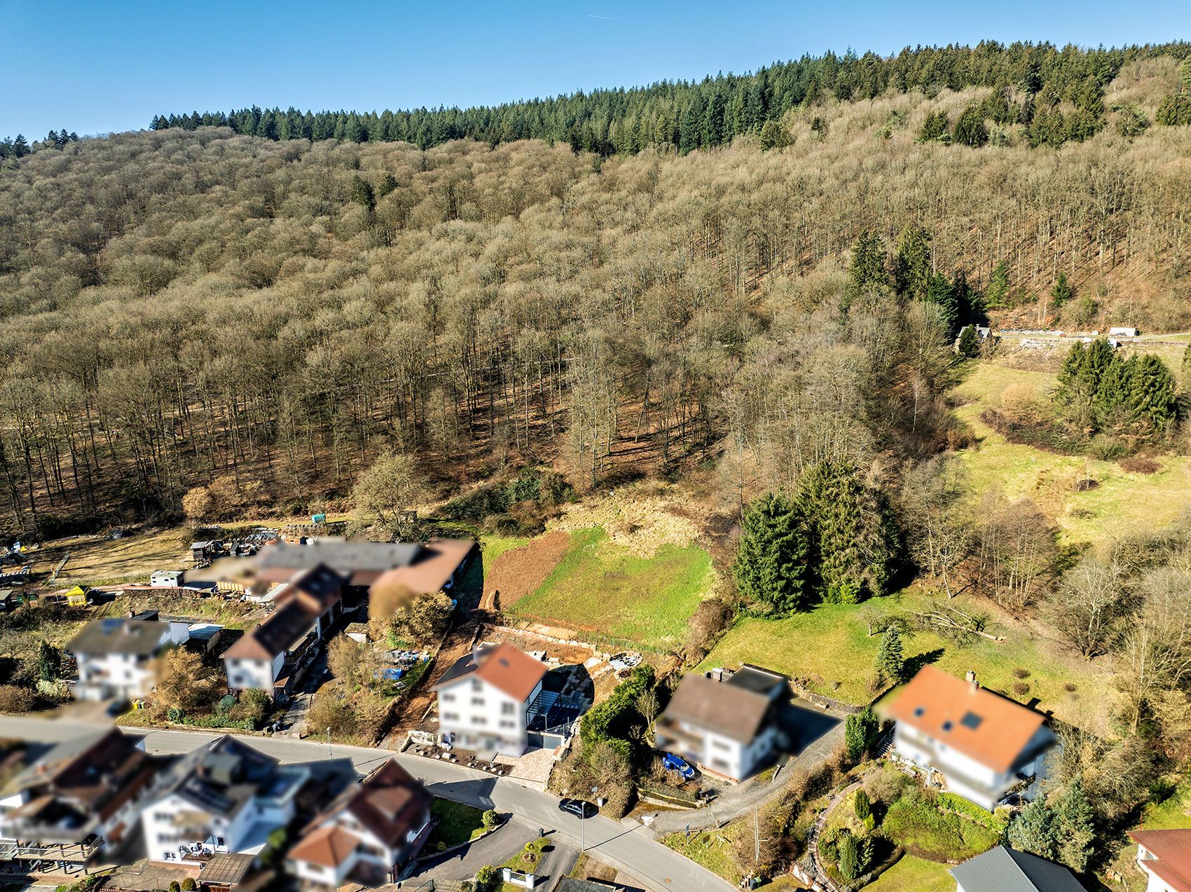 Mehrere Wohnhäuser am Waldrand mit großem Baumgebiet im Hintergrund.