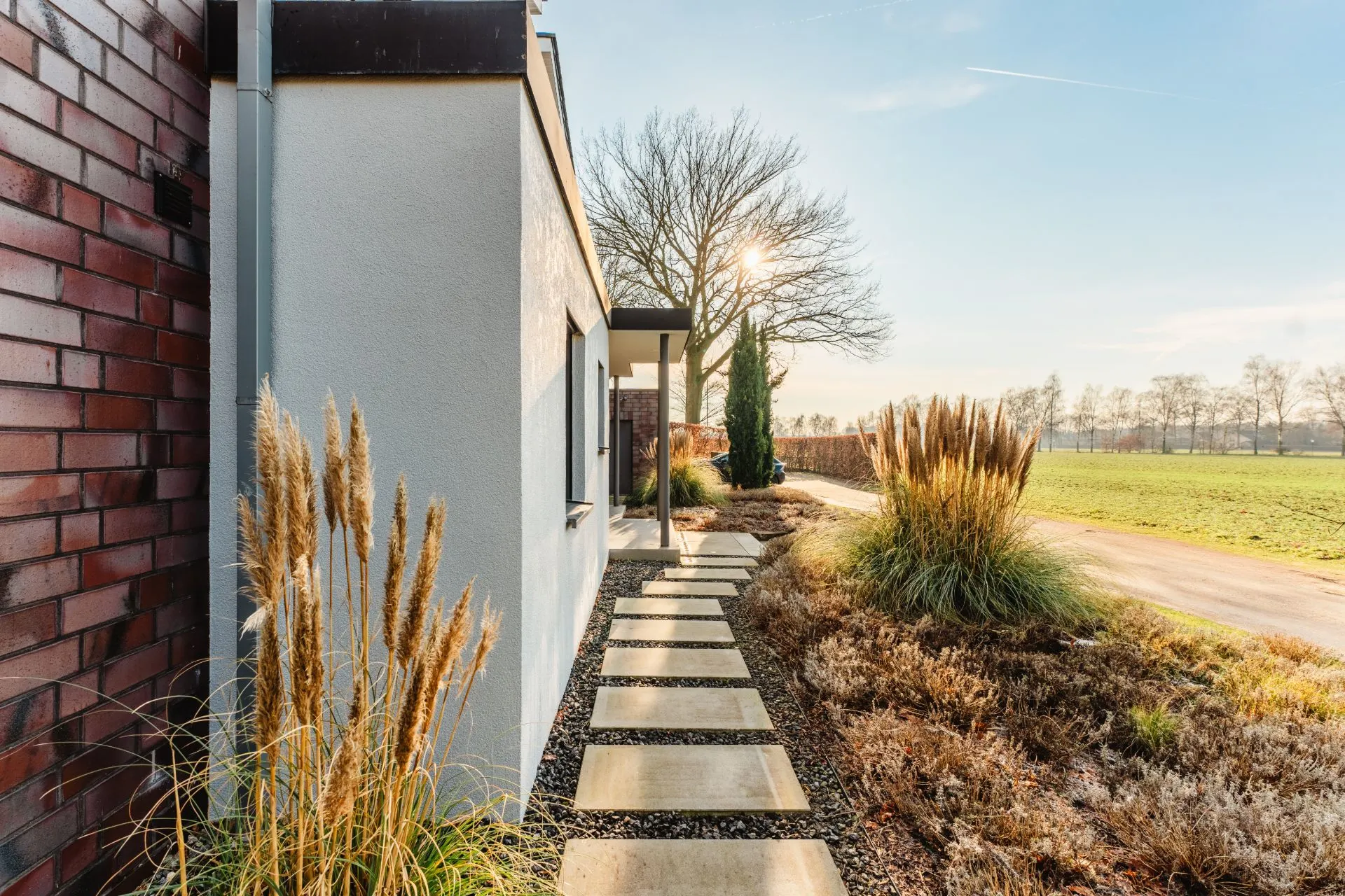 Gepflasterter Gartenweg mit Ziergräsern neben einem modernen Wohnhaus im Sonnenlicht.