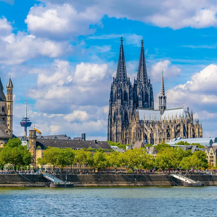 Blick auf eine große gotische Kathedrale und andere Gebäude am Flussufer mit Bäumen.