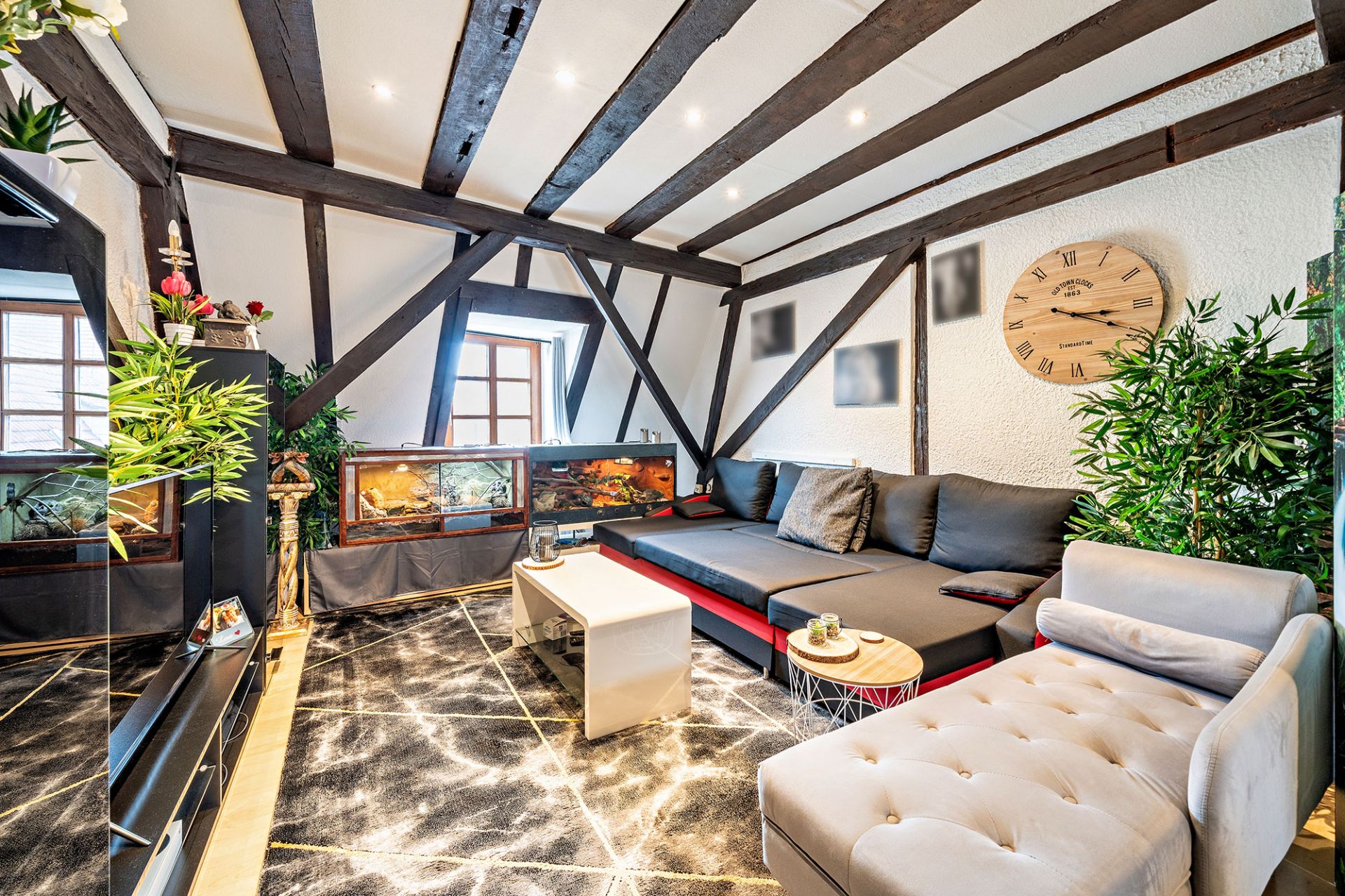 Helles Wohnzimmer mit Sofa, Sessel, Terrarien, Wanduhr und Holzbalken-Decke.