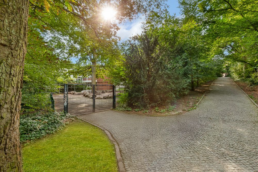 Gepflasterter Weg mit Metalltor, umgeben von Bäumen und viel Grün bei Sonnenschein.