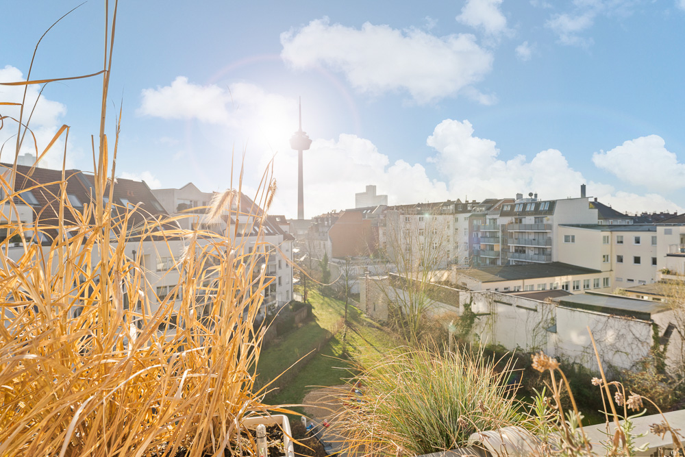 Blick von einer Terrasse mit trockenen Gräsern auf Wohngebäude und Fernmeldeturm bei Sonnenschein.
