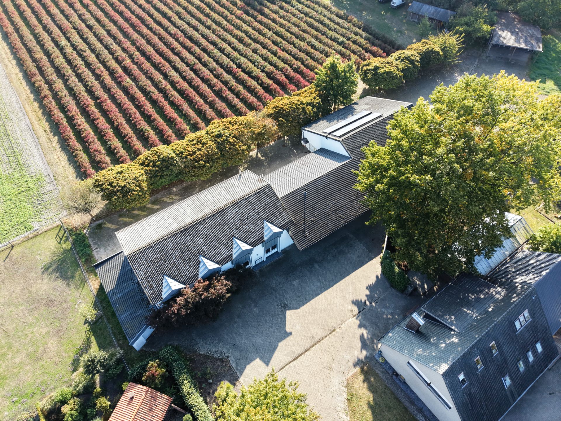 Luftaufnahme eines Wohnhauses mit Innenhof, Bäumen und angrenzendem Feld mit Pflanzenreihen.