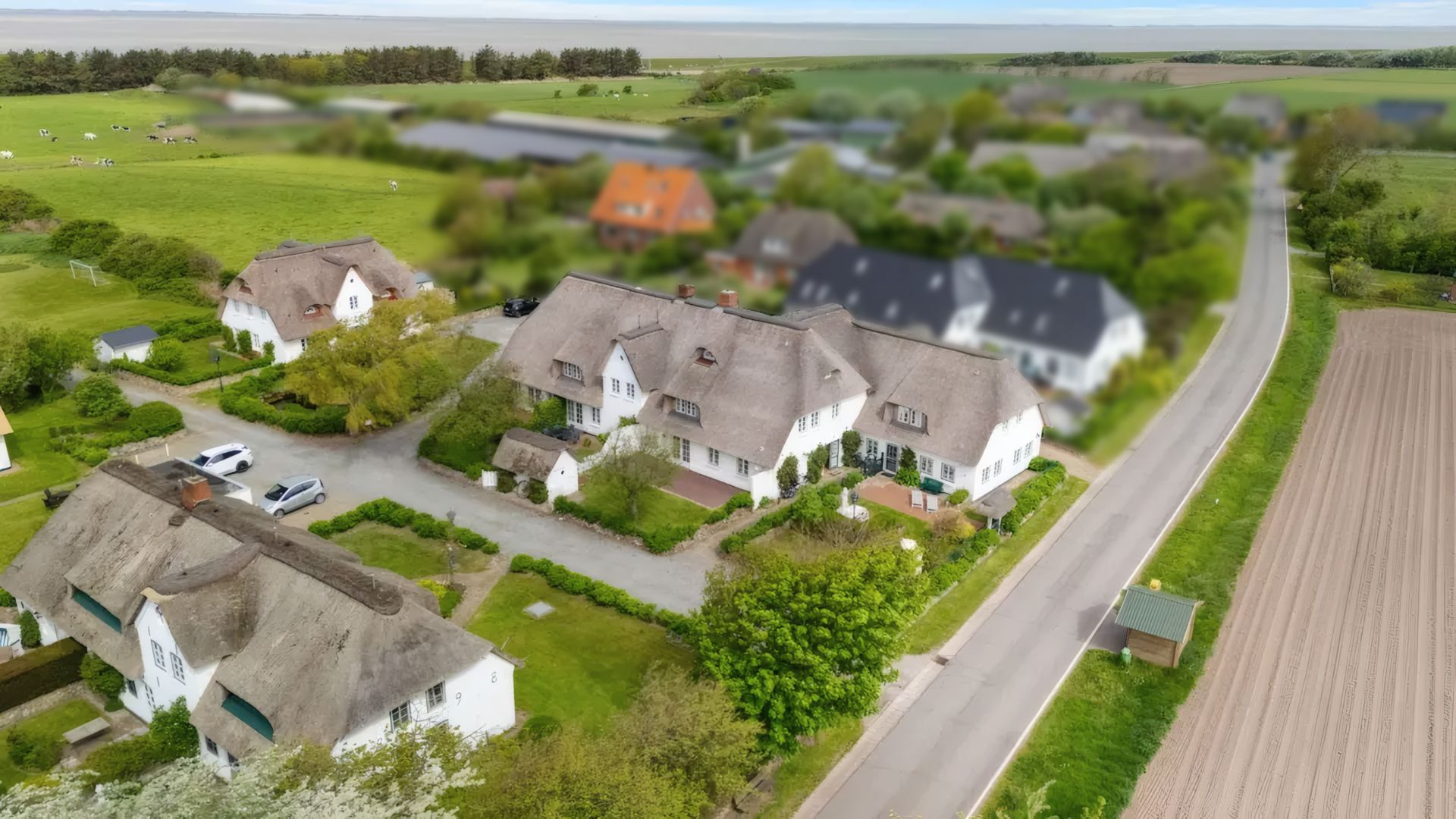 Luftaufnahme von weißen Häusern mit Reetdächern neben einer Landstraße und Feldern.