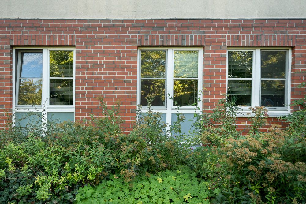 Drei weiße Fenster in einer roten Ziegelwand, davor grüne Büsche und Pflanzen.