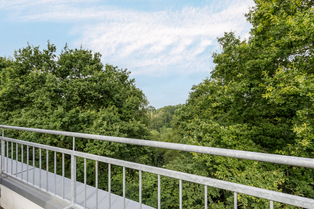 Ausblick von einem Balkon mit Metallgeländer auf grüne Bäume und blauen Himmel.