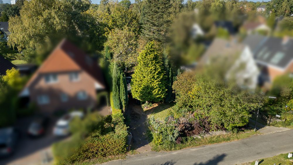 Luftaufnahme eines Grundstücks mit Einfahrt, Bäumen und Garten an einer Straße.