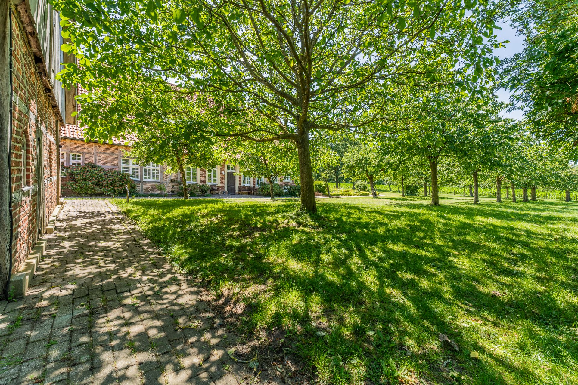 Großer, grüner Garten mit Bäumen neben einem Backsteingebäude und gepflastertem Weg.
