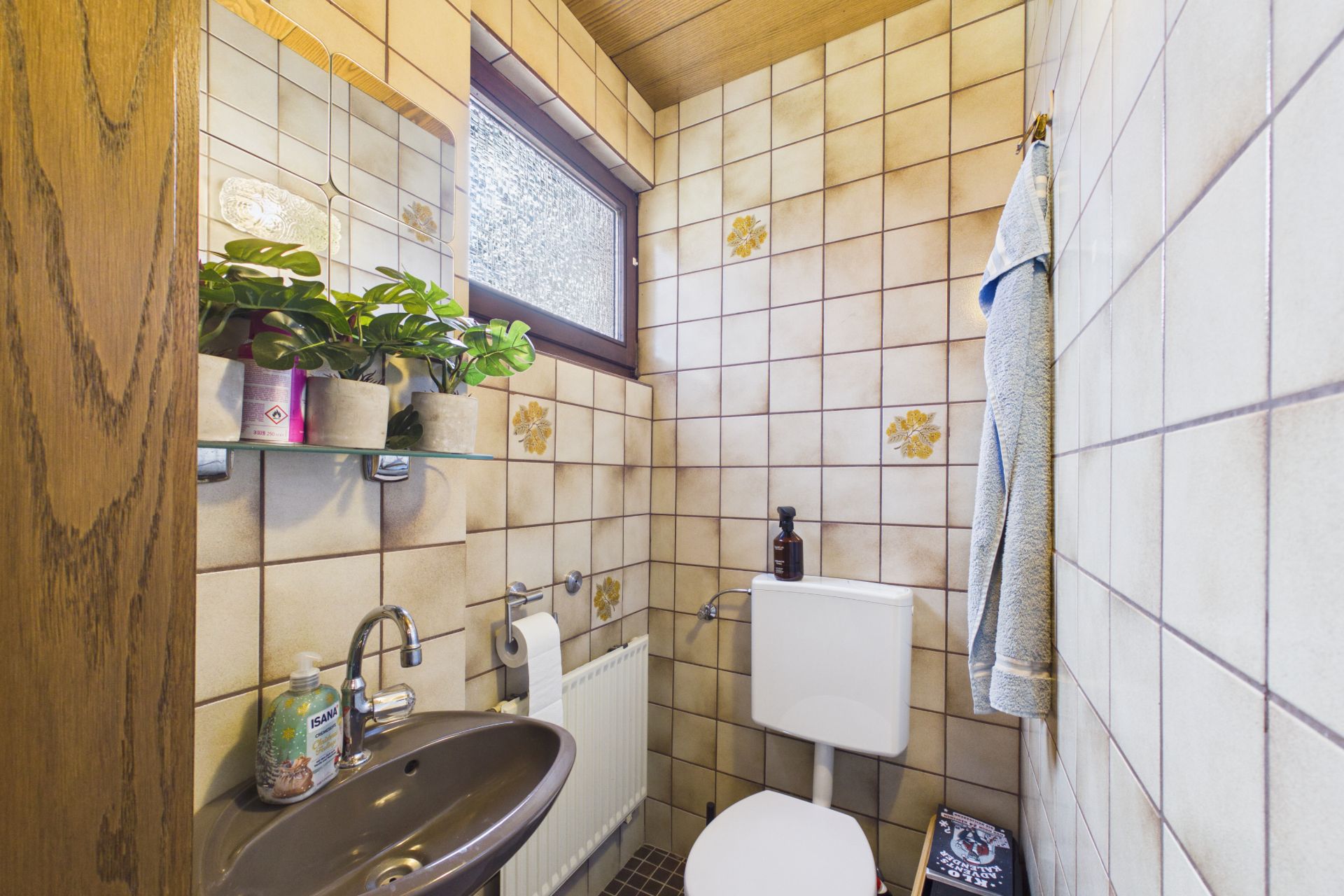 Kleines Badezimmer mit Waschbecken, Toilette, Regal mit Pflanzen und Handtuch an der Wand.