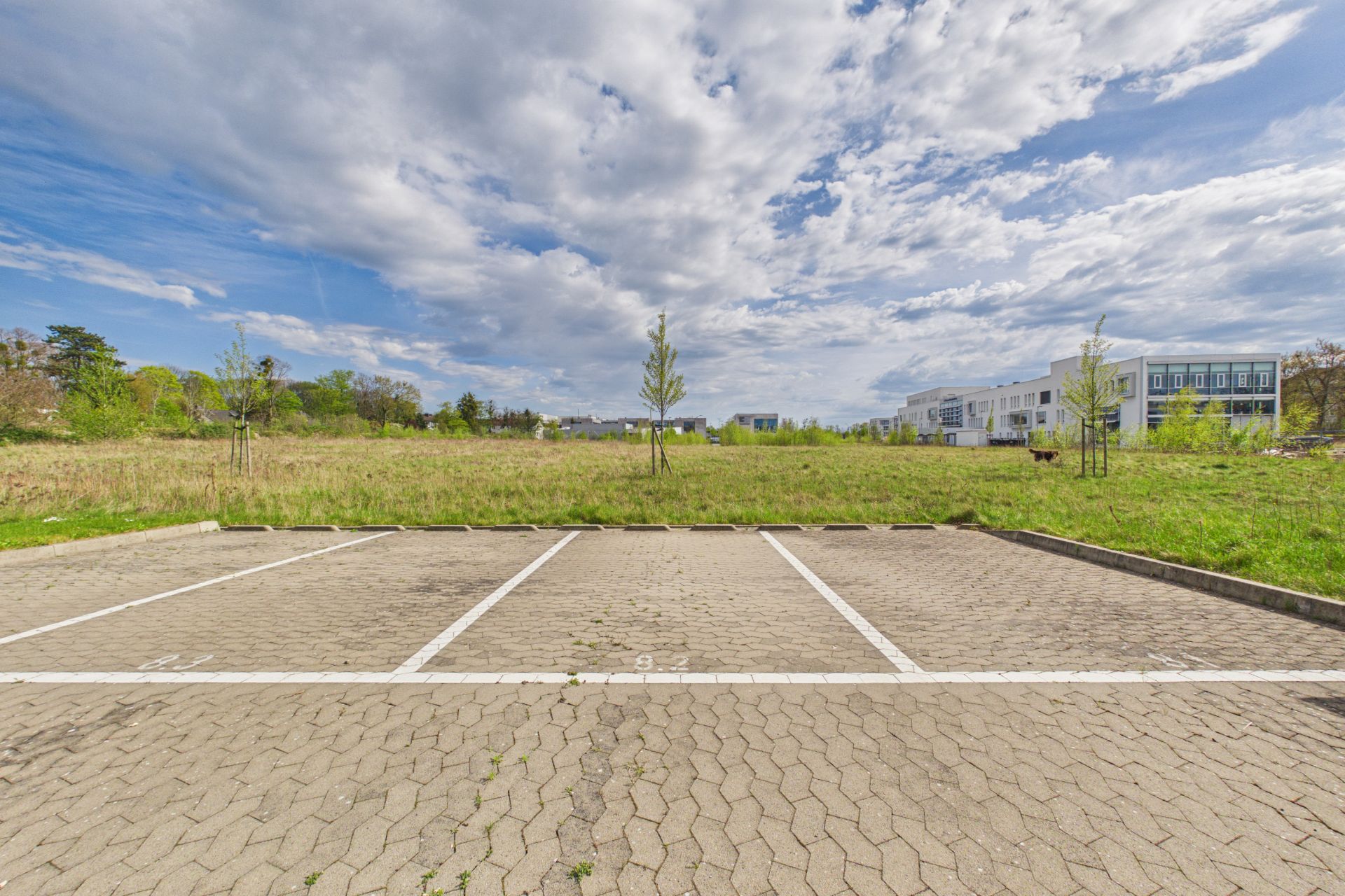 Leerer Parkplatz mit drei markierten Stellflächen vor einer Wiese und Bäumen.