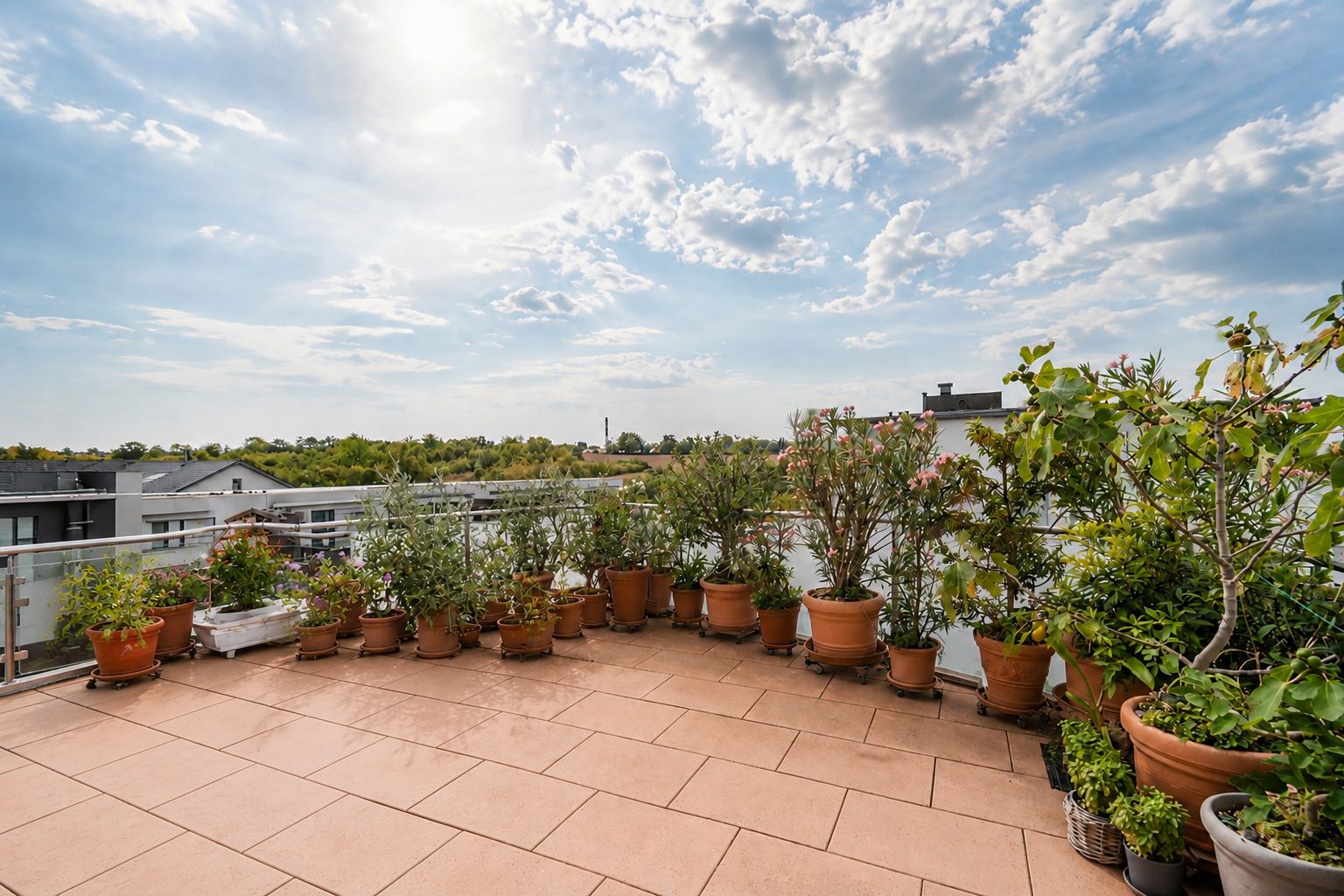 Große Terrasse mit vielen Pflanzkübeln und Ausblick auf Dächer und Bäume.