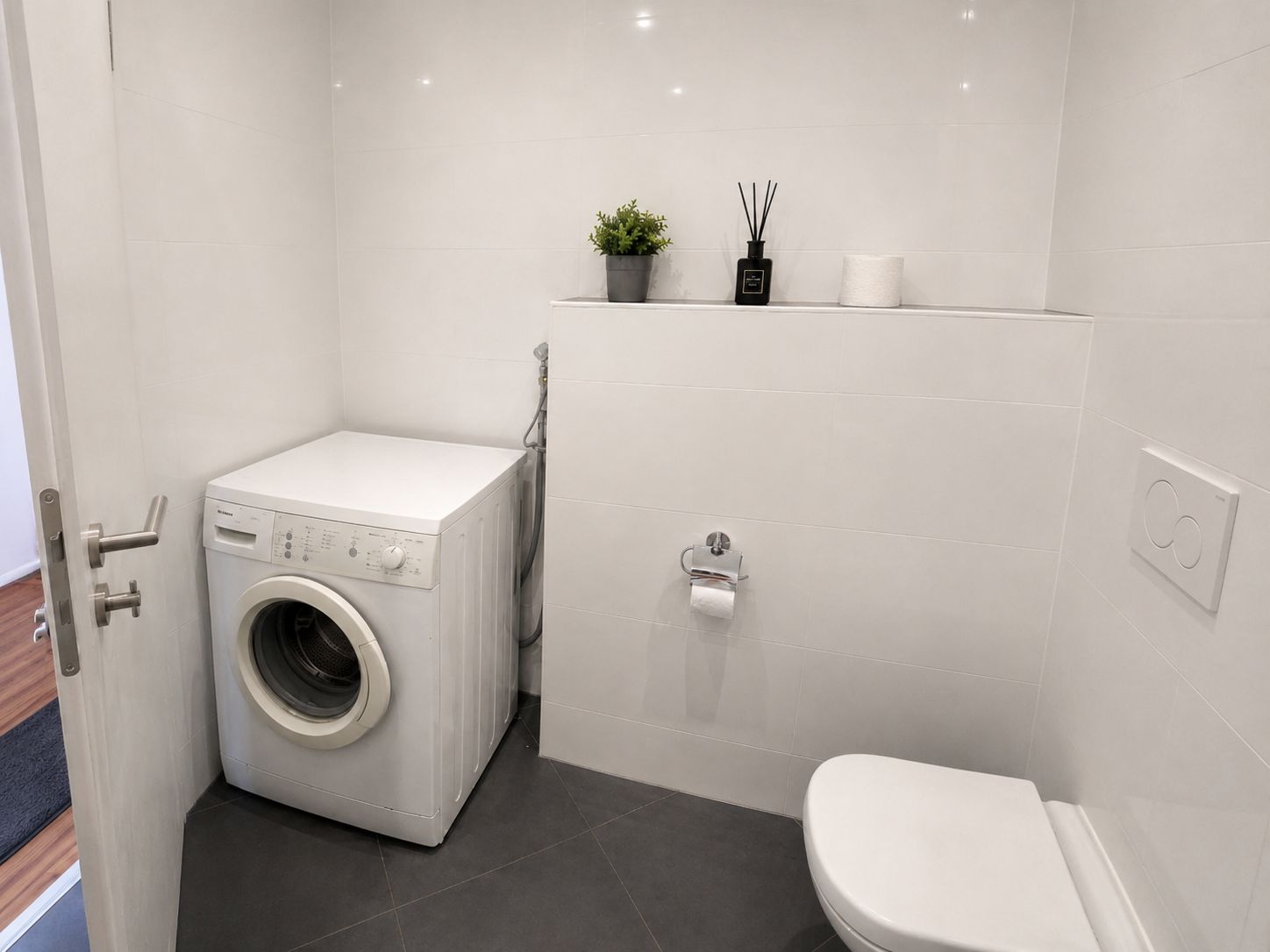Heller Raum mit Waschmaschine, WC, Toilettenpapier und einer kleinen Pflanze auf dem Regal.