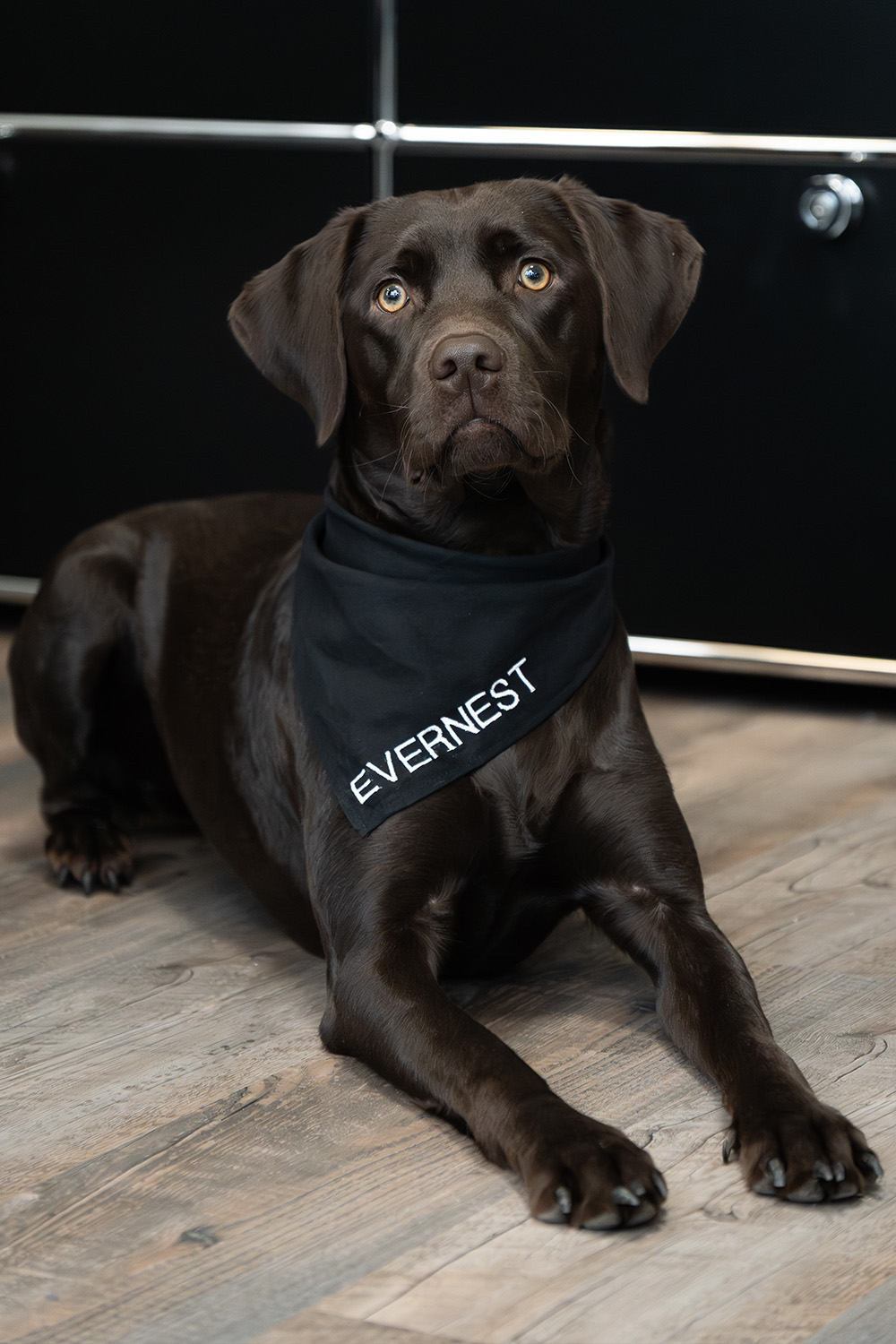 Amy Happiness Manager Braunschweig