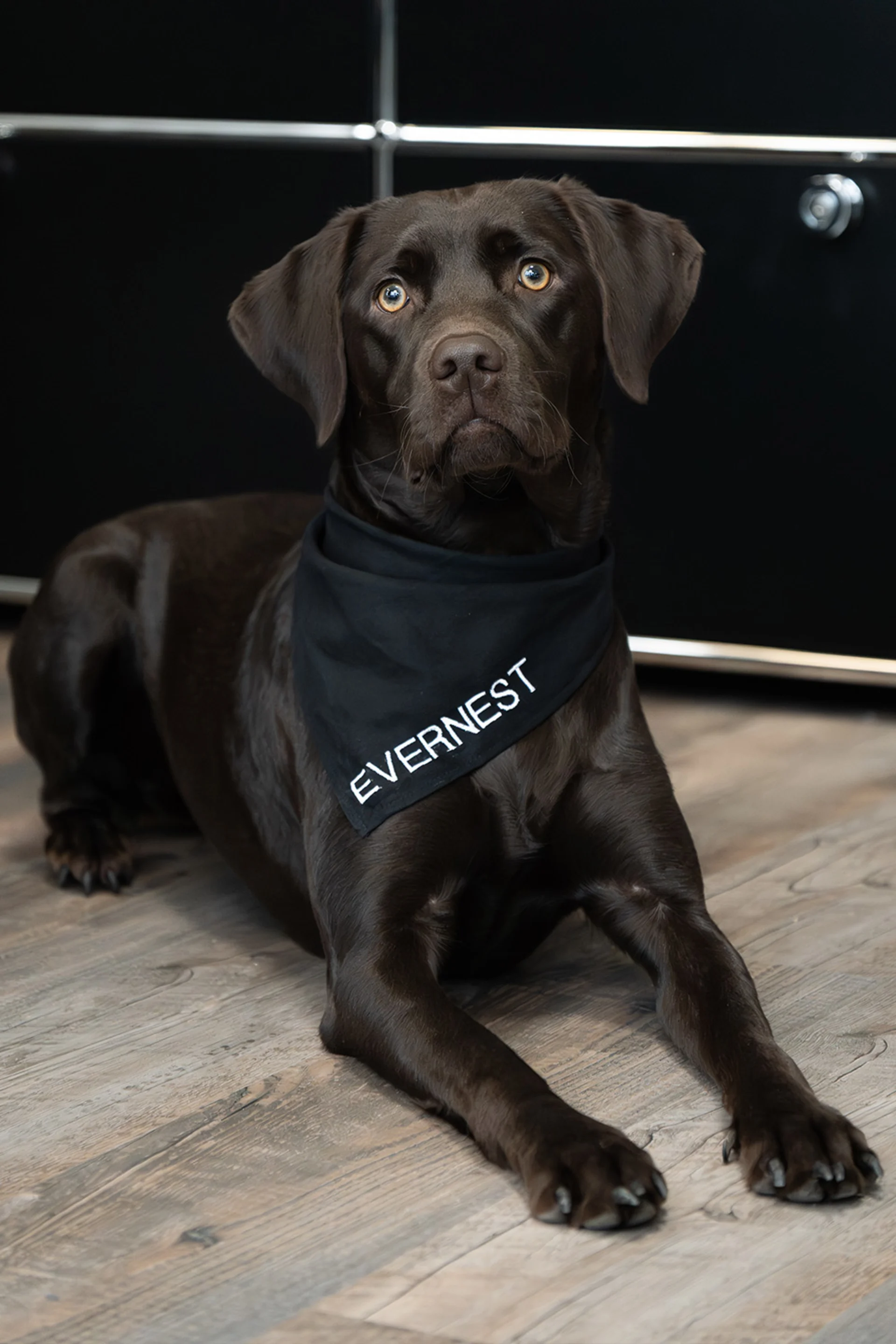 Amy Happiness Manager Braunschweig